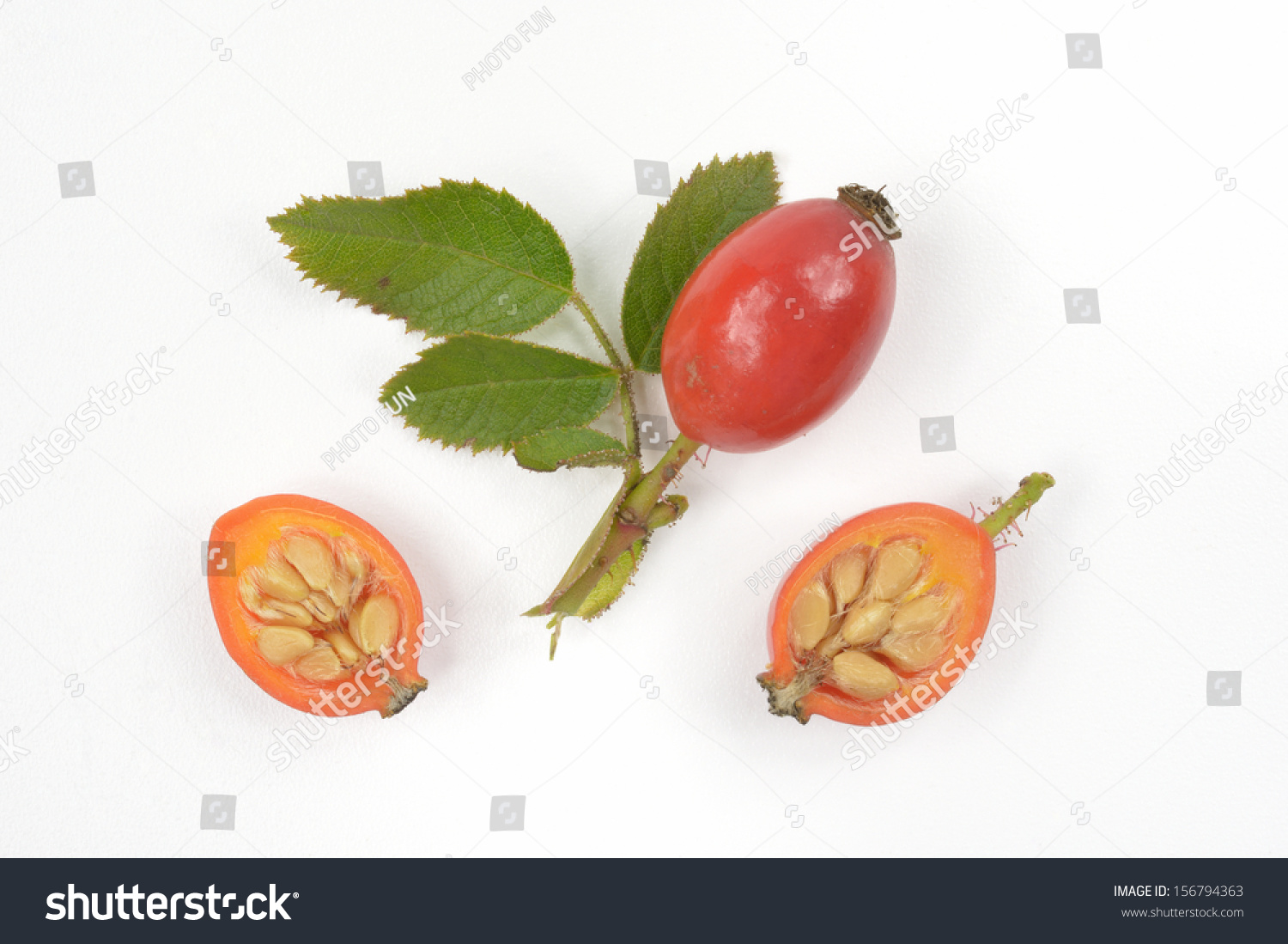 Rose Hip Cross Section Stock Photo 156794363 - Shutterstock