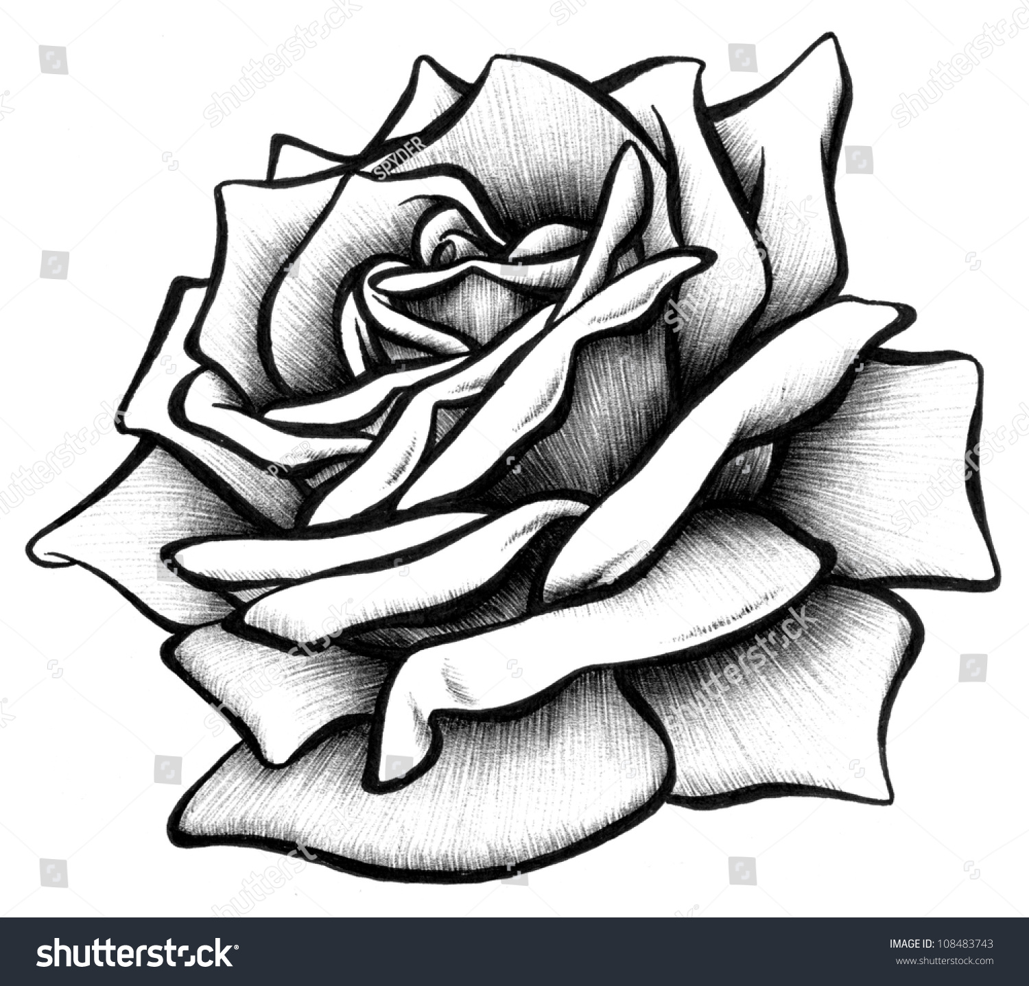 Rose Rendering Stock Photo 108483743 : Shutterstock