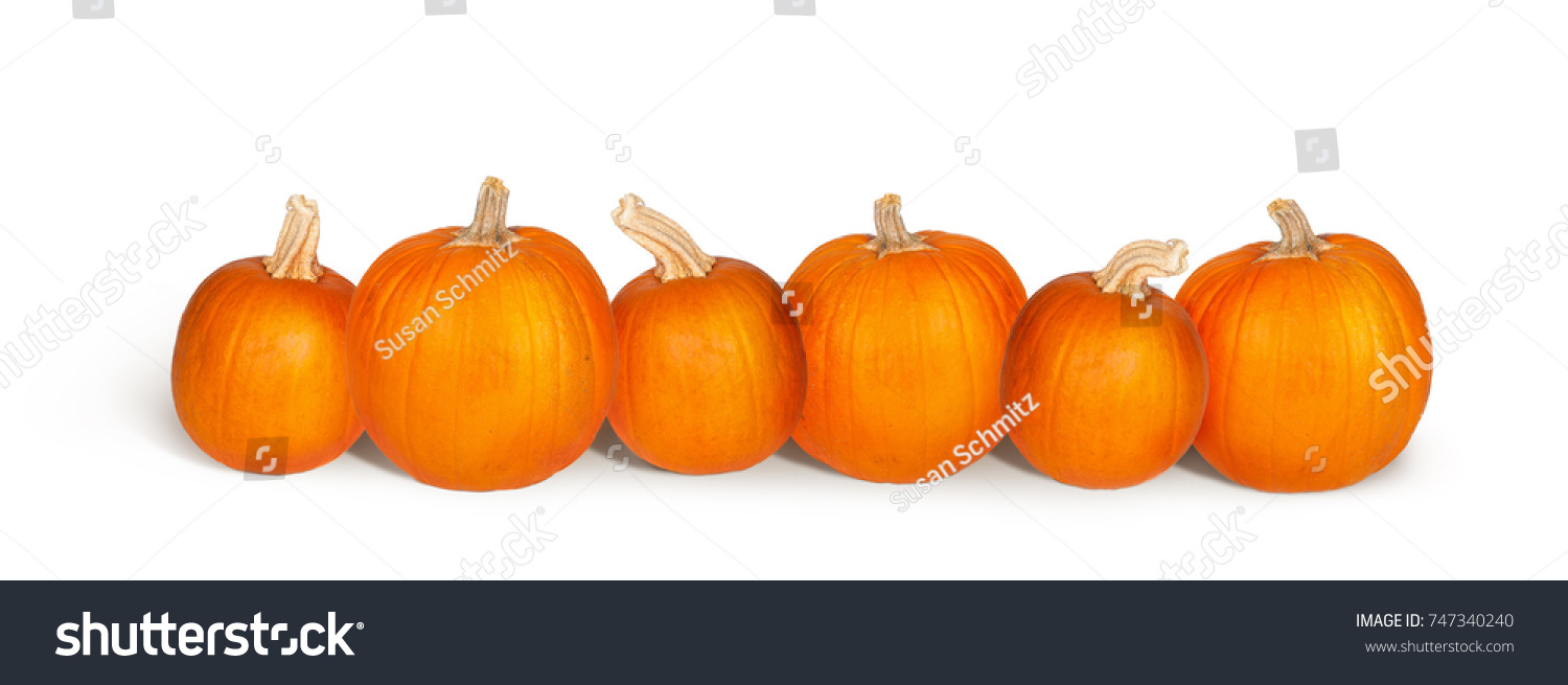 3,405 6 pumpkins Images, Stock Photos & Vectors | Shutterstock