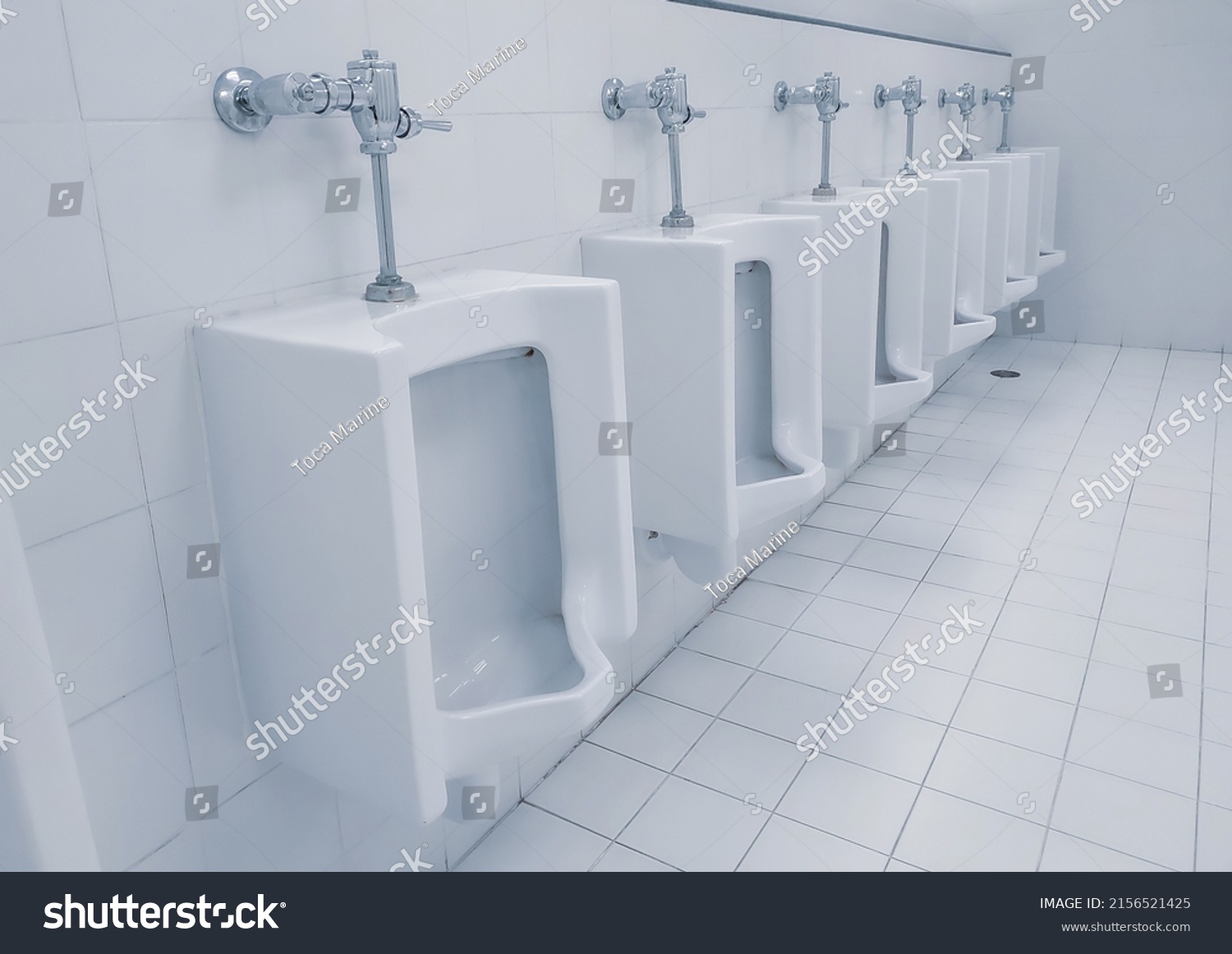 Row Urinal Men Toilet Rest Room Stock Photo 2156521425 