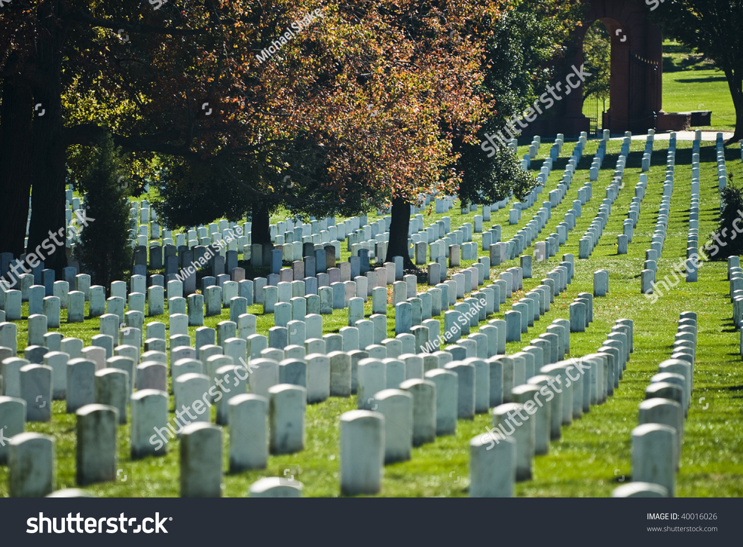 Rows Of Grave Stone Markers In Arlington National Cemetery In ...