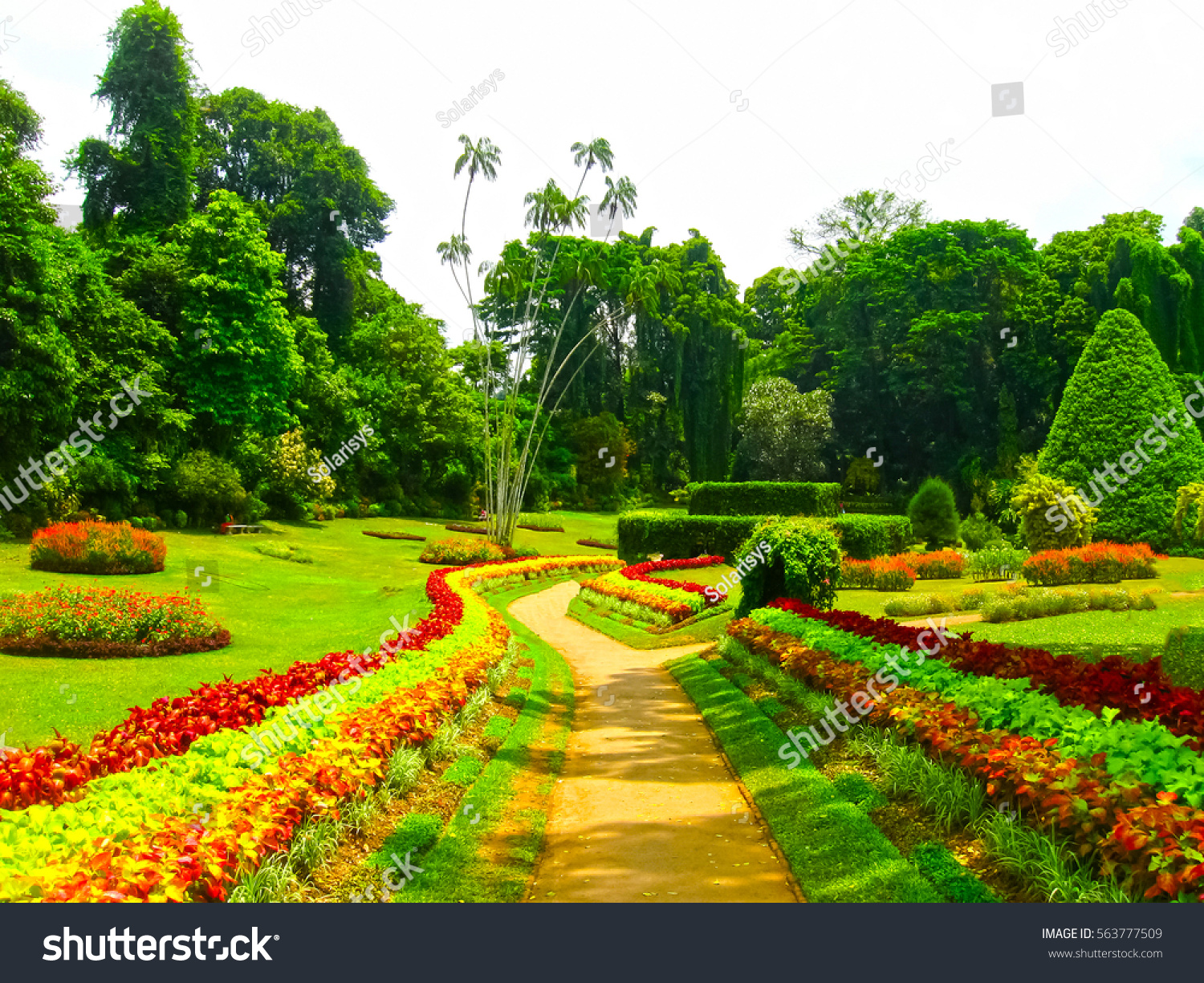 Royal Botanical Garden Peradeniya Sri Lanka Stock Photo Edit Now