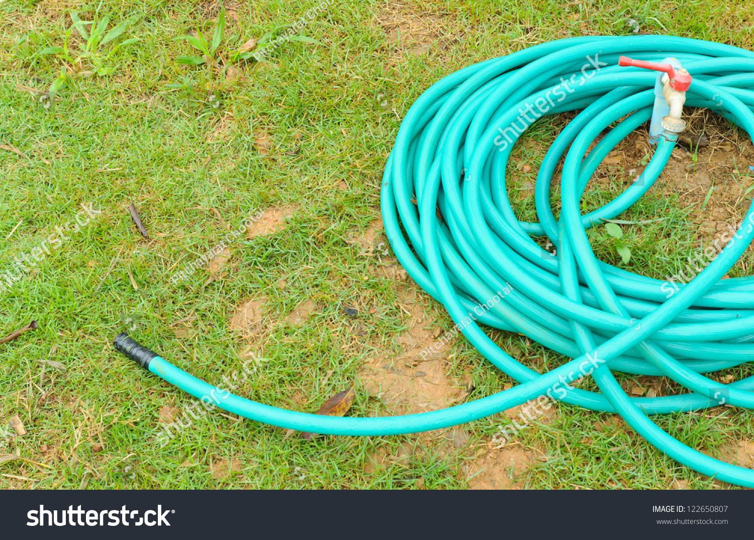 Rubber Tube Watering Plants Garden Stock Photo 122650807 - Shutterstock