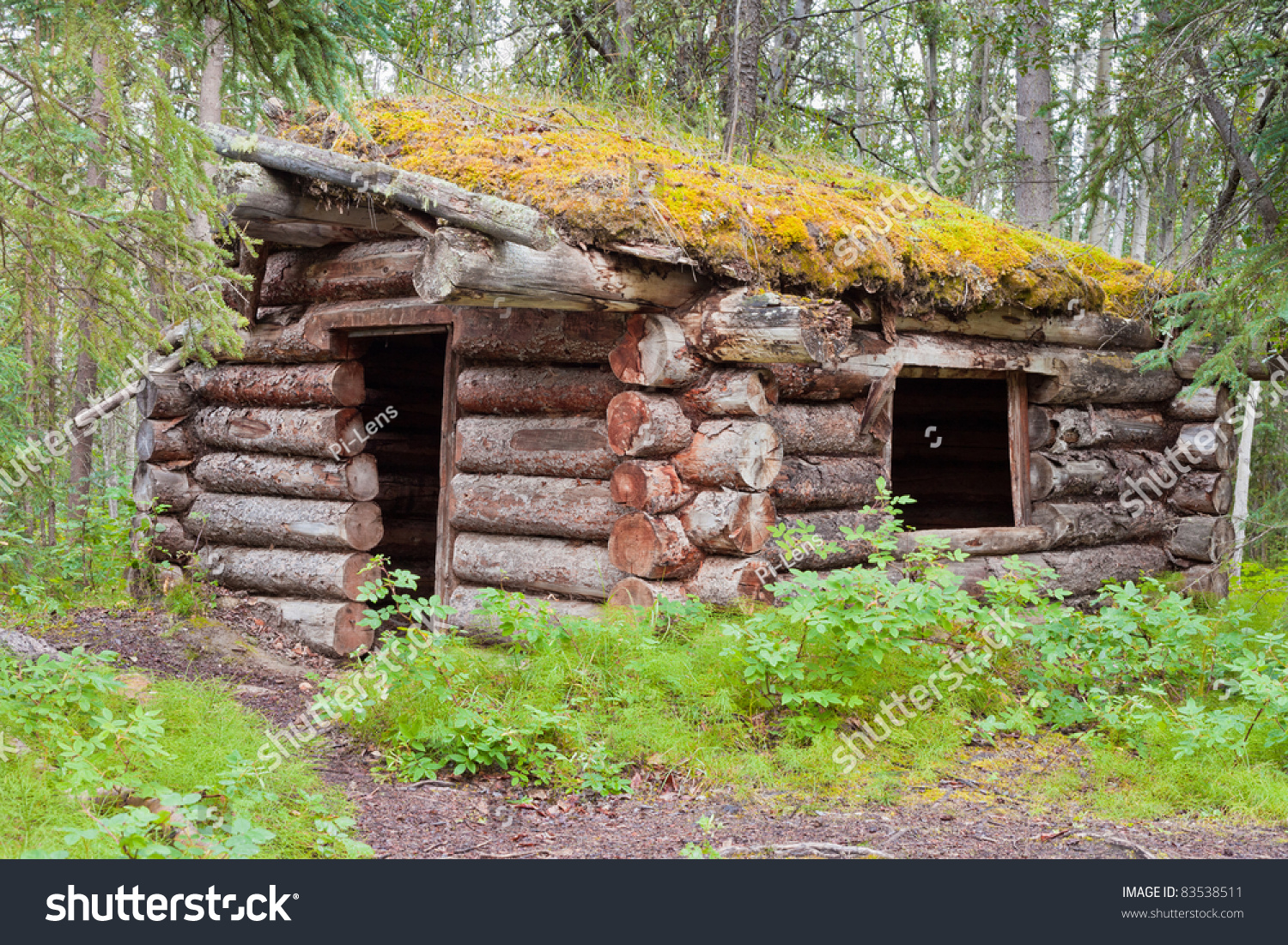 Ruin Old Yukon Log Cabin Hidden Stock Photo (Edit Now) 83538511