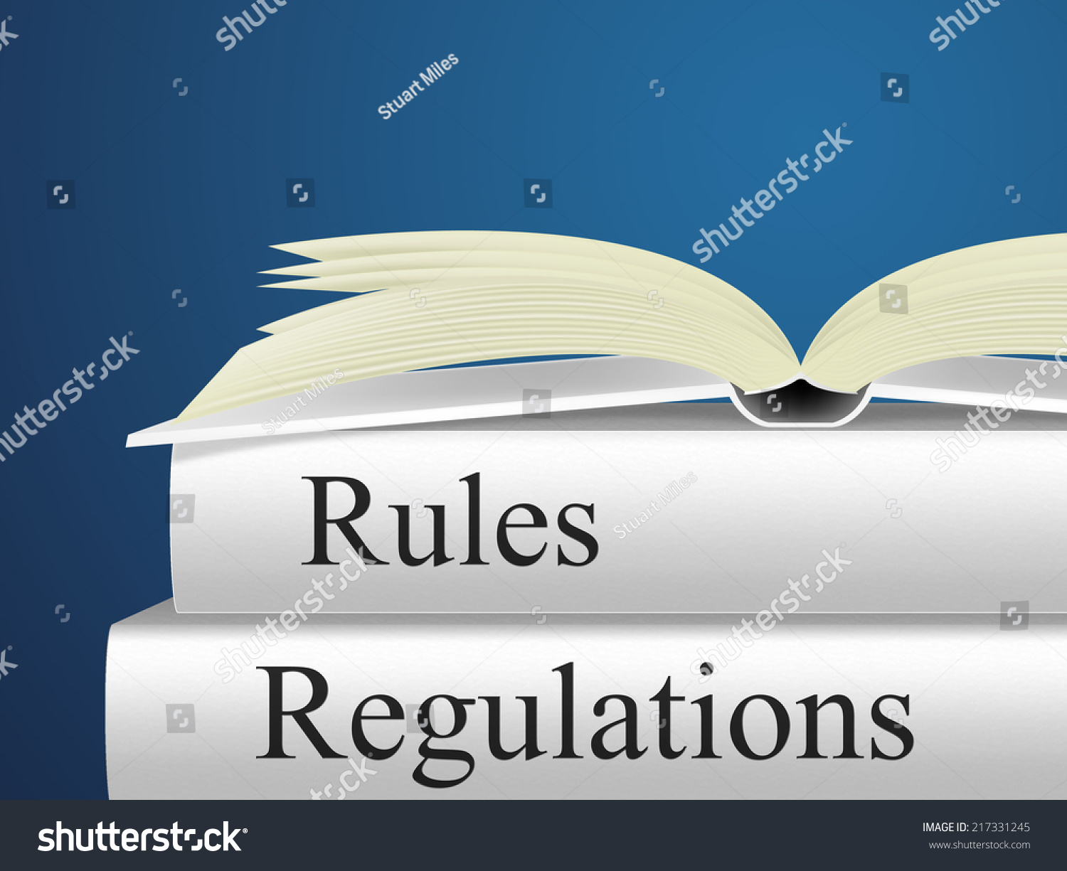Rules Regulations Meaning Protocol Guideline Procedures Stock Illustration 217331245