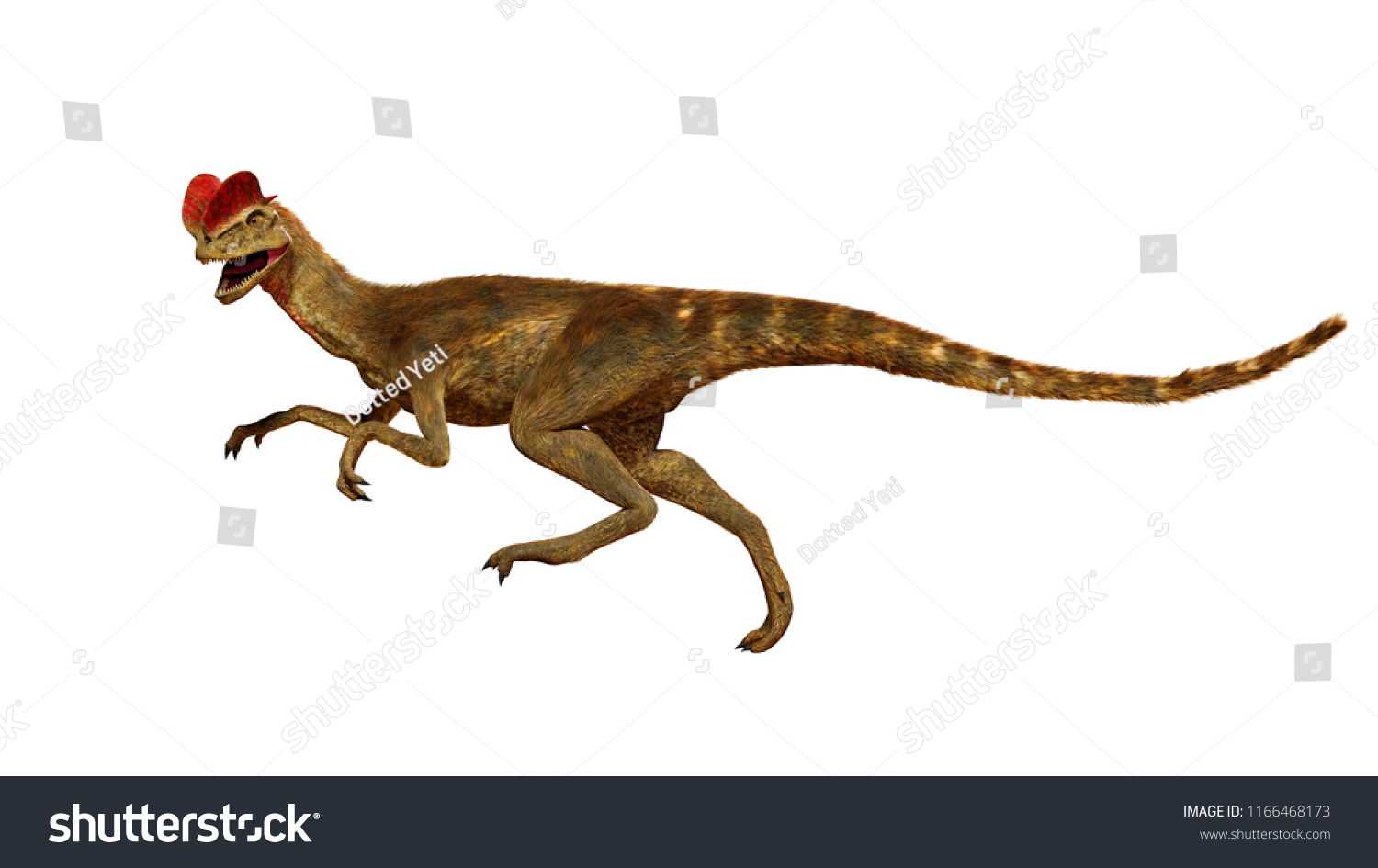 Running Dilophosaurus Theropod Dinosaur Early Jurassic Stock ...