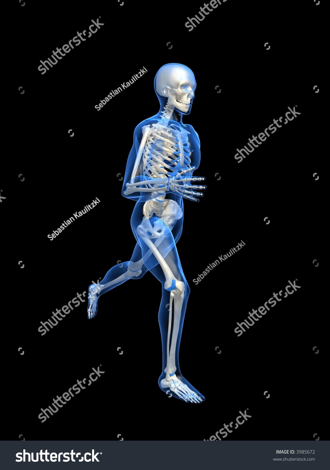 Running Man - Anatomy Stock Photo 3985672 : Shutterstock