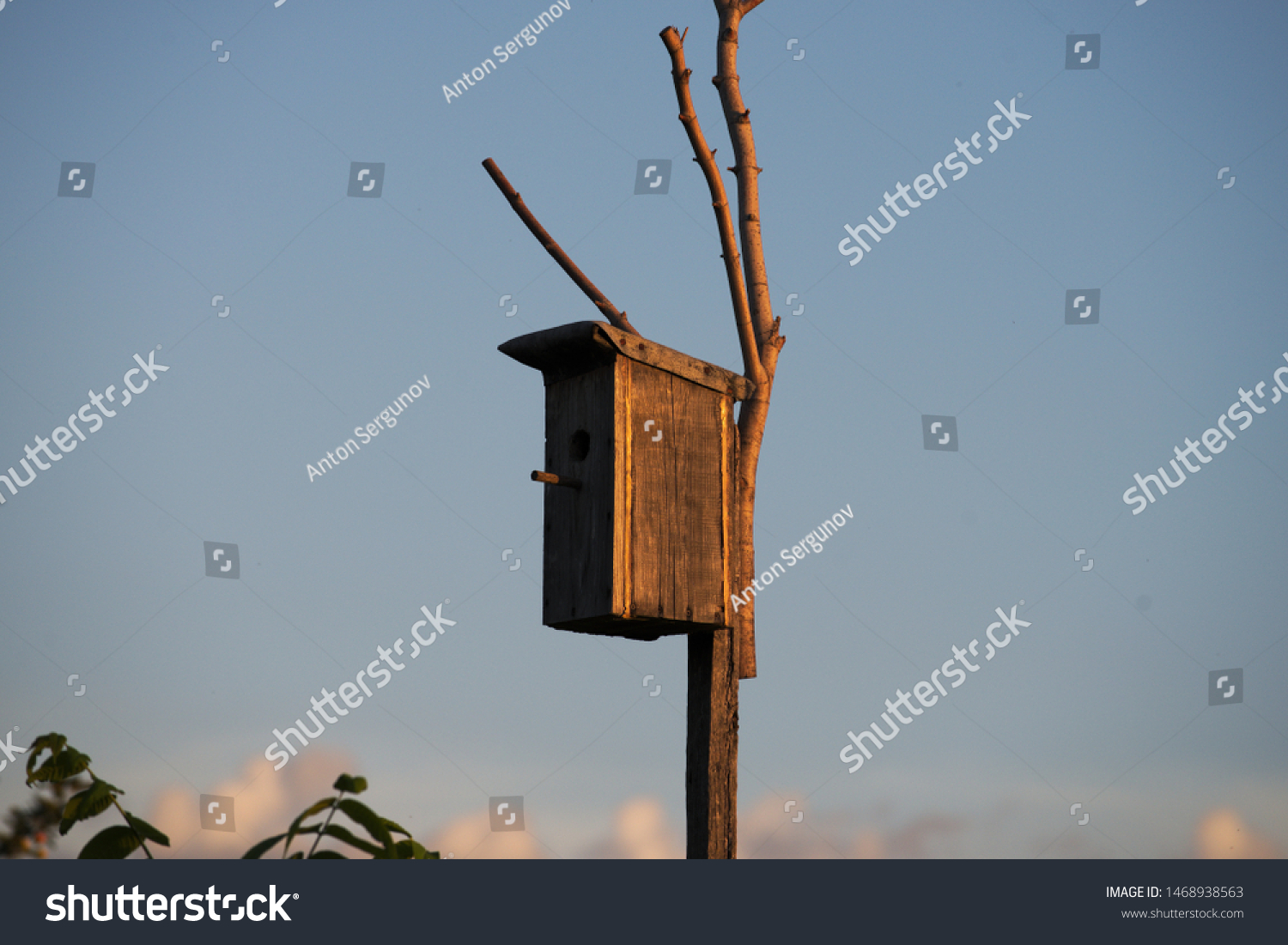 russian nesting boxes
