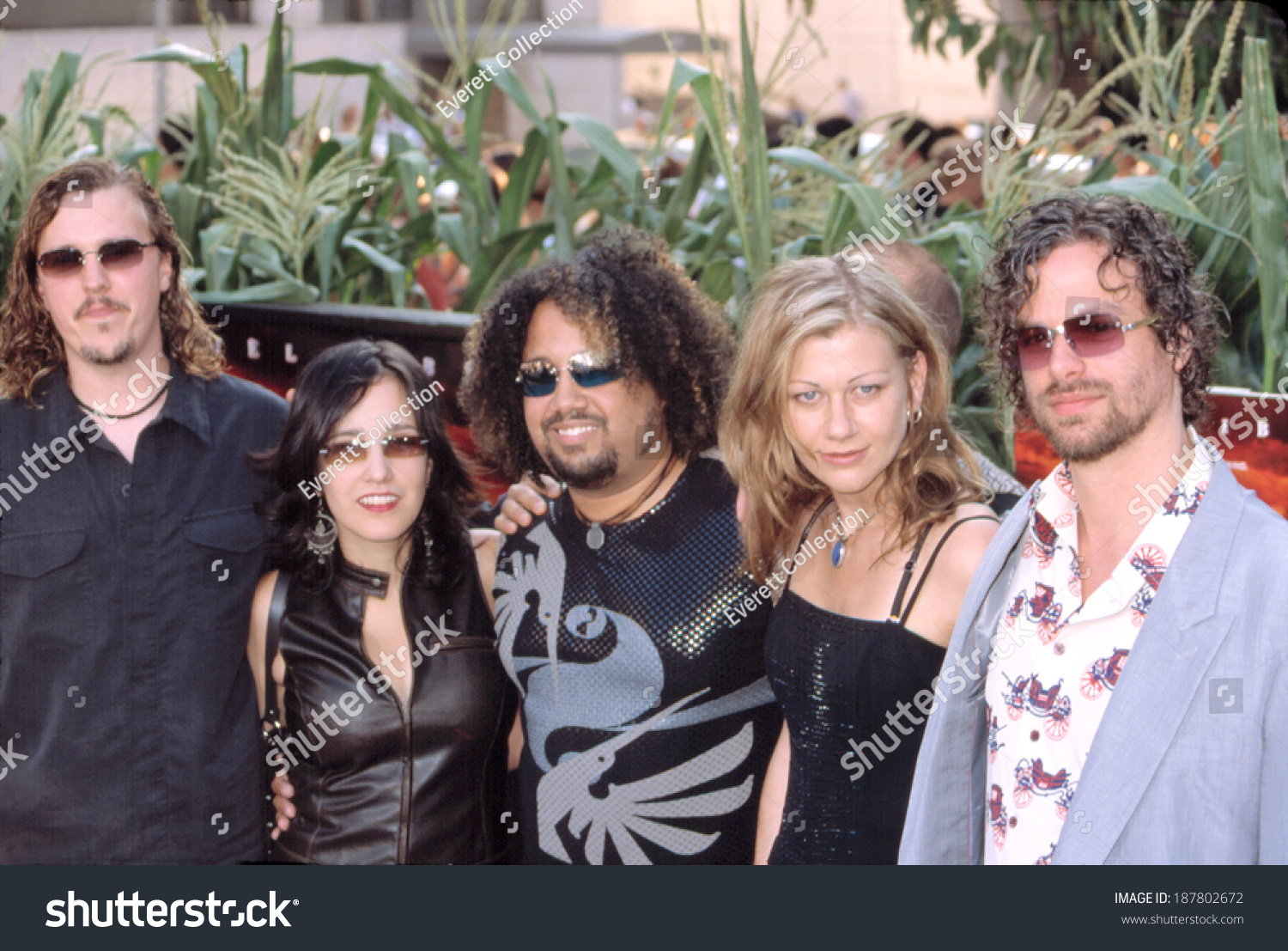 Rusted Root Premiere Signs Ny Stock Photo Edit Now