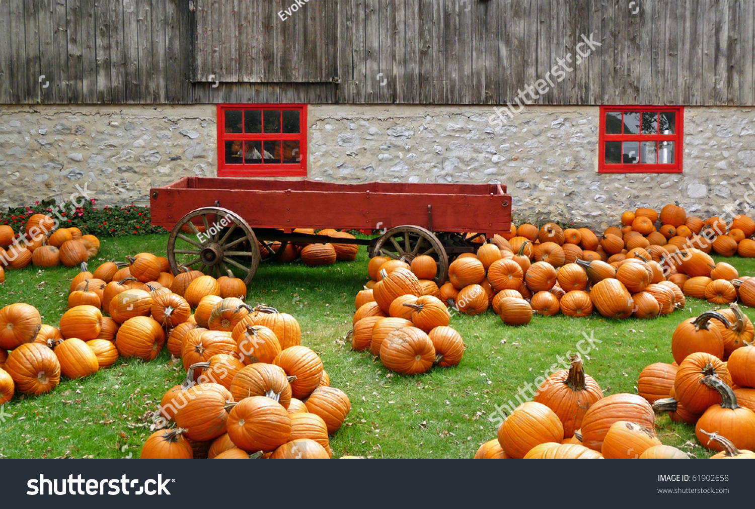 Rustic Autumn Scene With Pumpkins Cart And Barn Stock Photo 61902658 ...