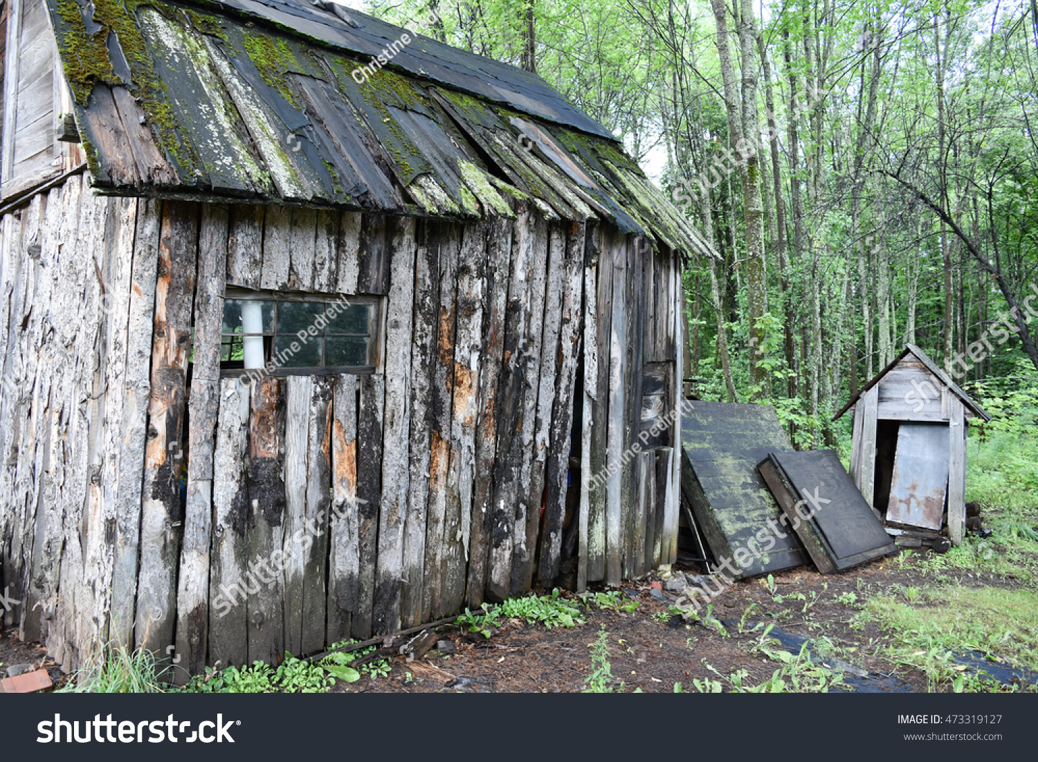 Rustic Cabin Woods Stock Photo 473319127 - Shutterstock