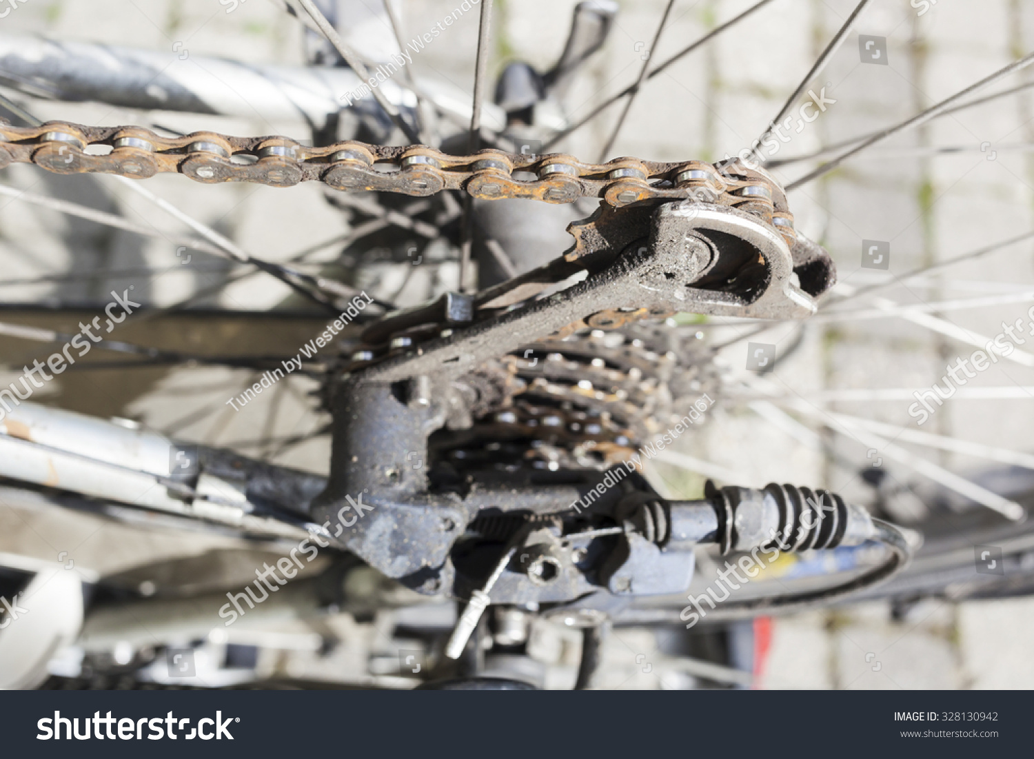 rusty bike chain and gears