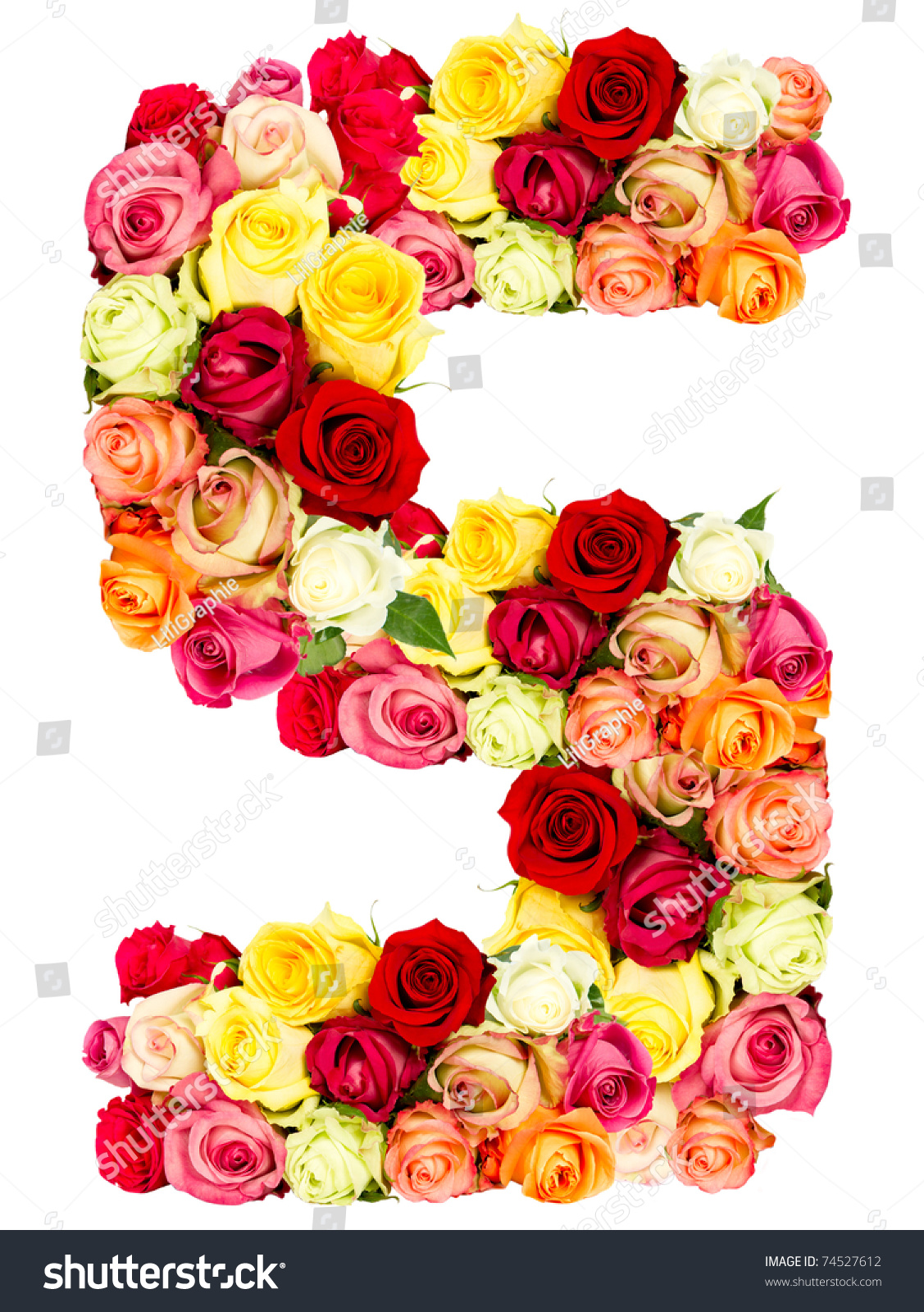 S Roses Flower Alphabet More Letter Stock Photo 74527612