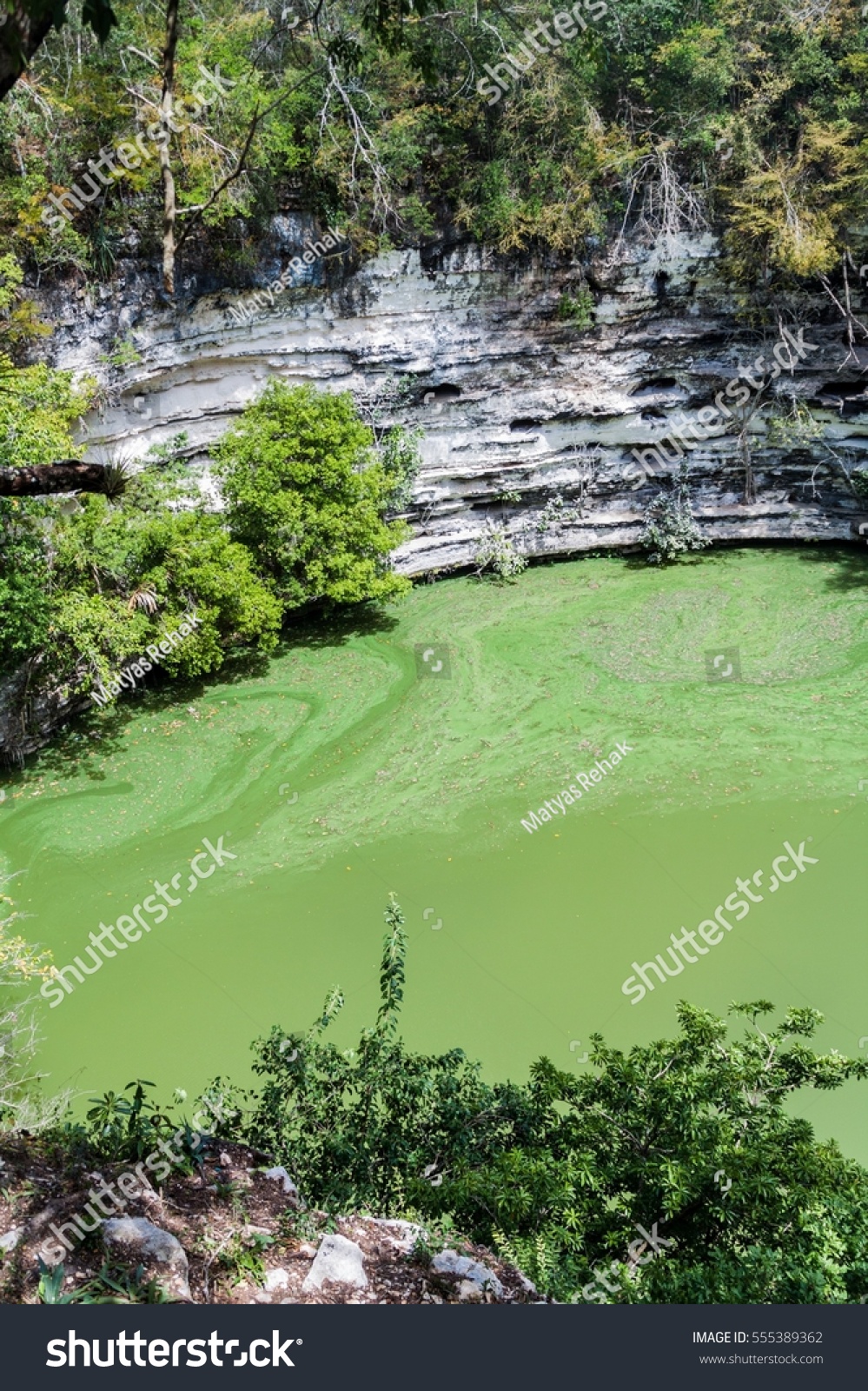 Sacred Cenote Archeological Site Chichen Itza Stock Photo Edit Now 555389362