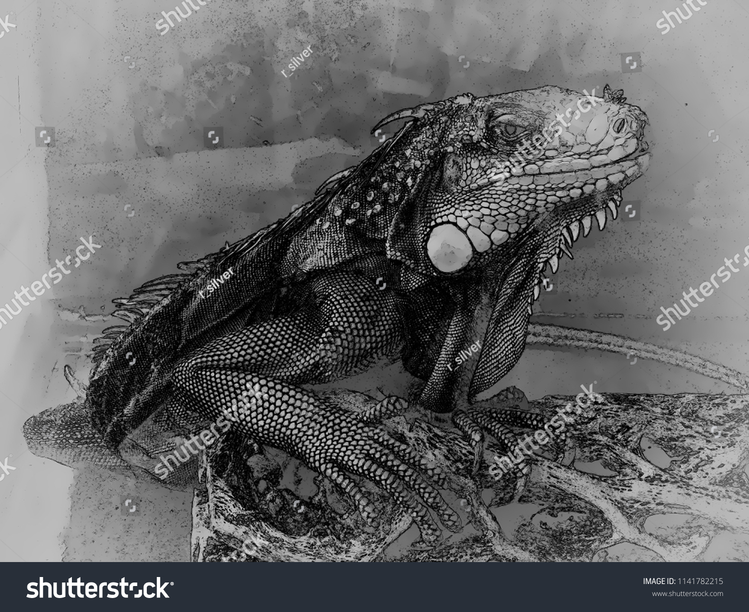 Sad Green Iguana Iguana Iguana Close Stock Illustration 1141782215 ...