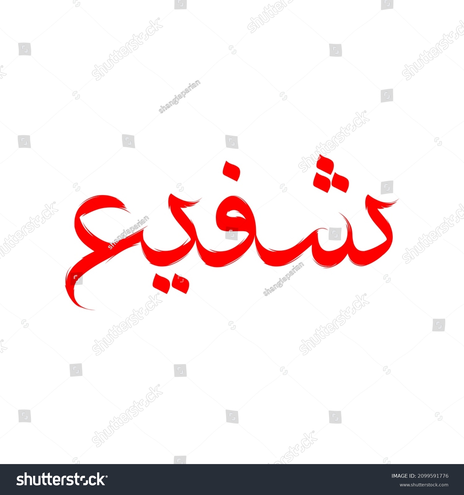 Safi Urdu Arabic Name Calligraphy Stock Illustration 2099591776