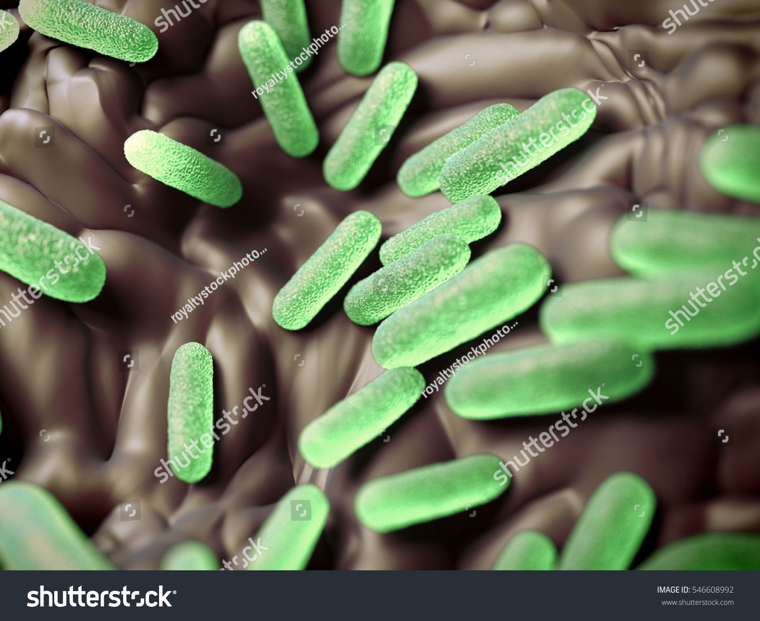 Salmonella Enterica Enterica Gramnegative Rodshaped Cells Stock Illustration 546608992