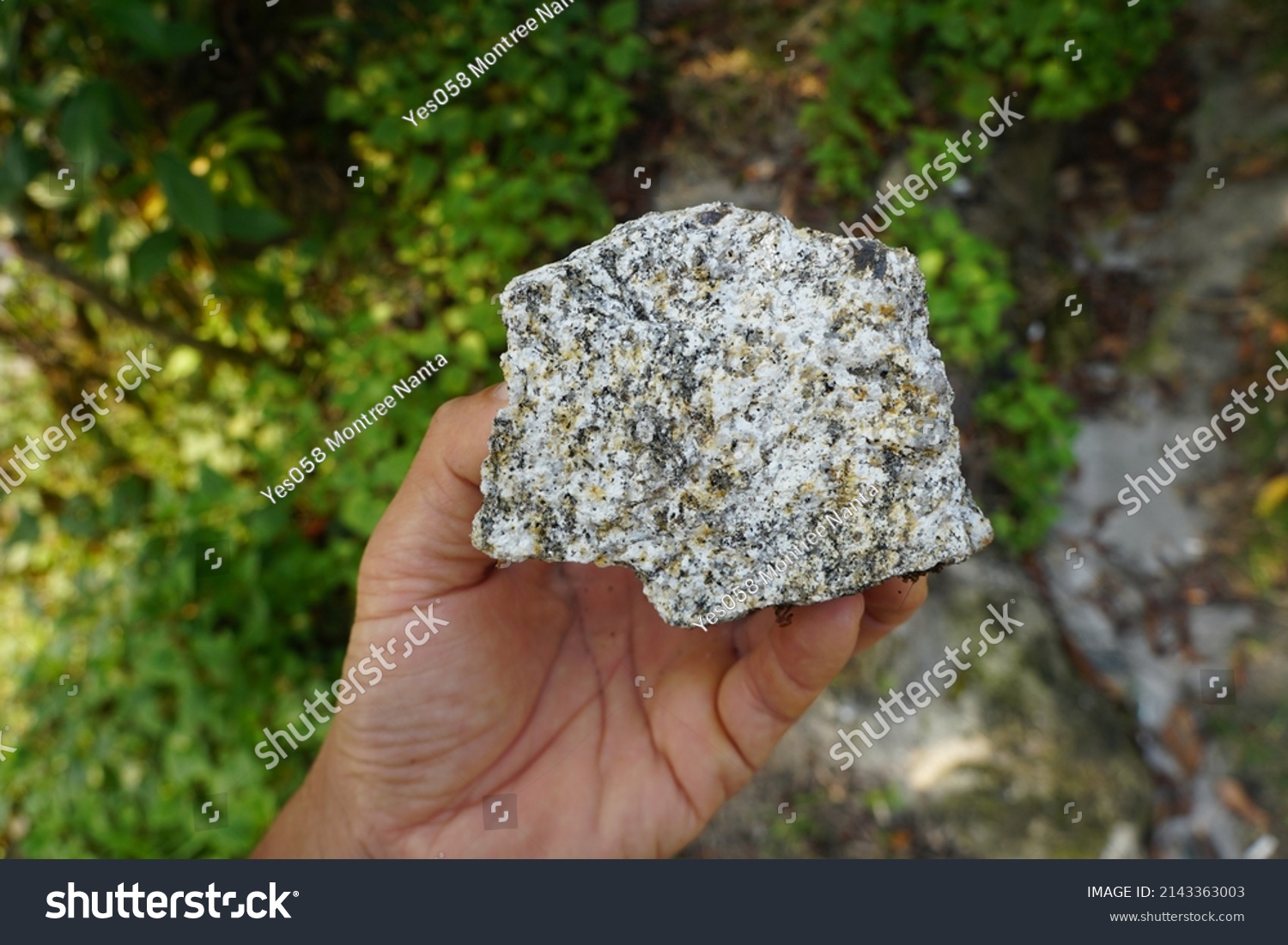 Sample Piece Raw Biotite Granite Rock Stock Photo 2143363003 | Shutterstock