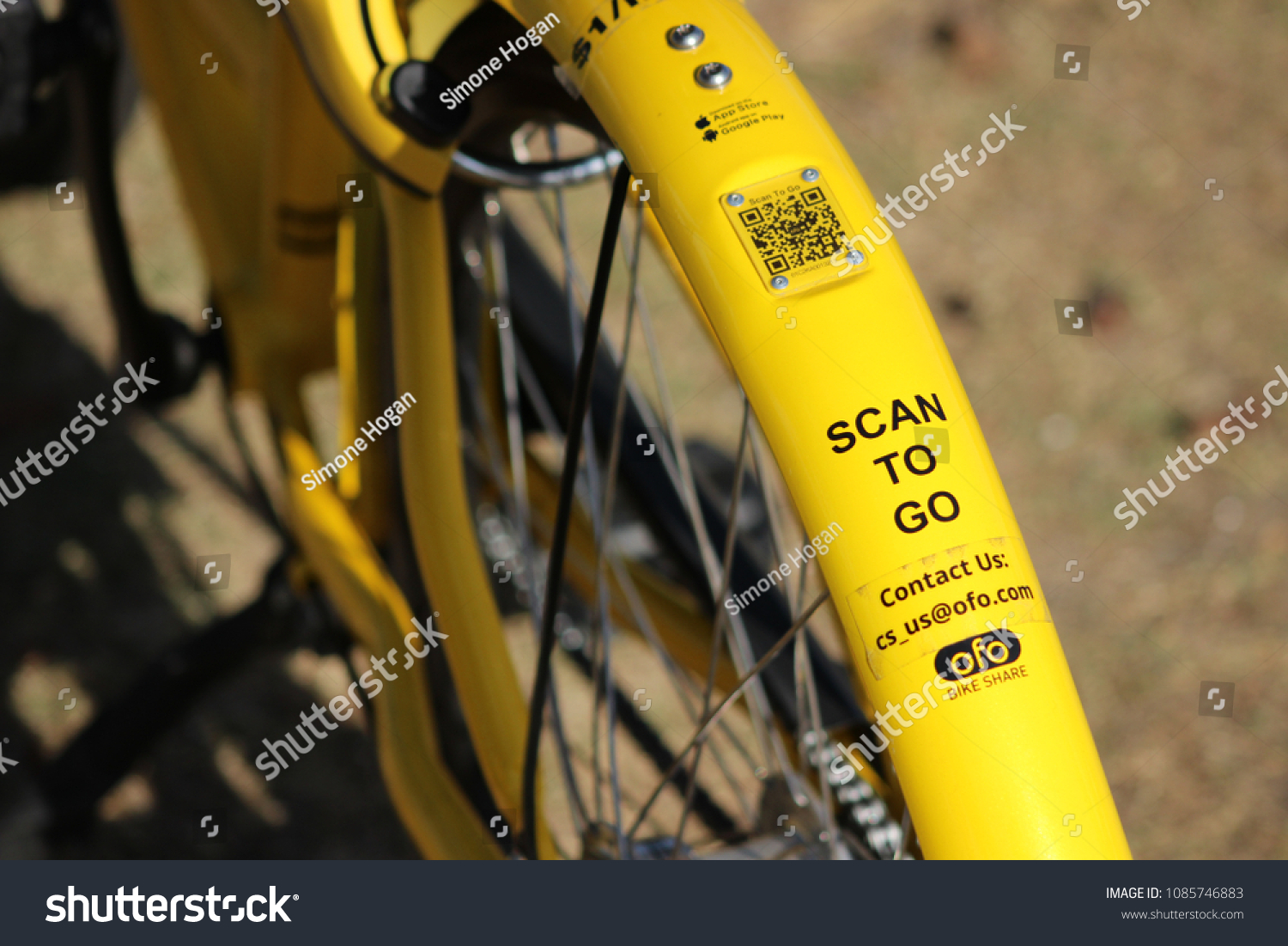 ofo contact