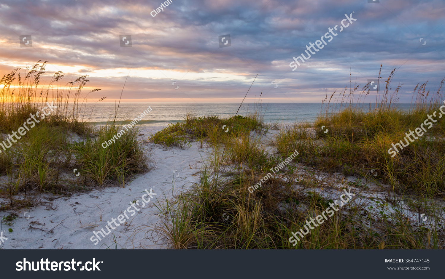 Sand Dunes Dusk Clearwater Beach Florida Stock Photo (Edit Now) 364747145