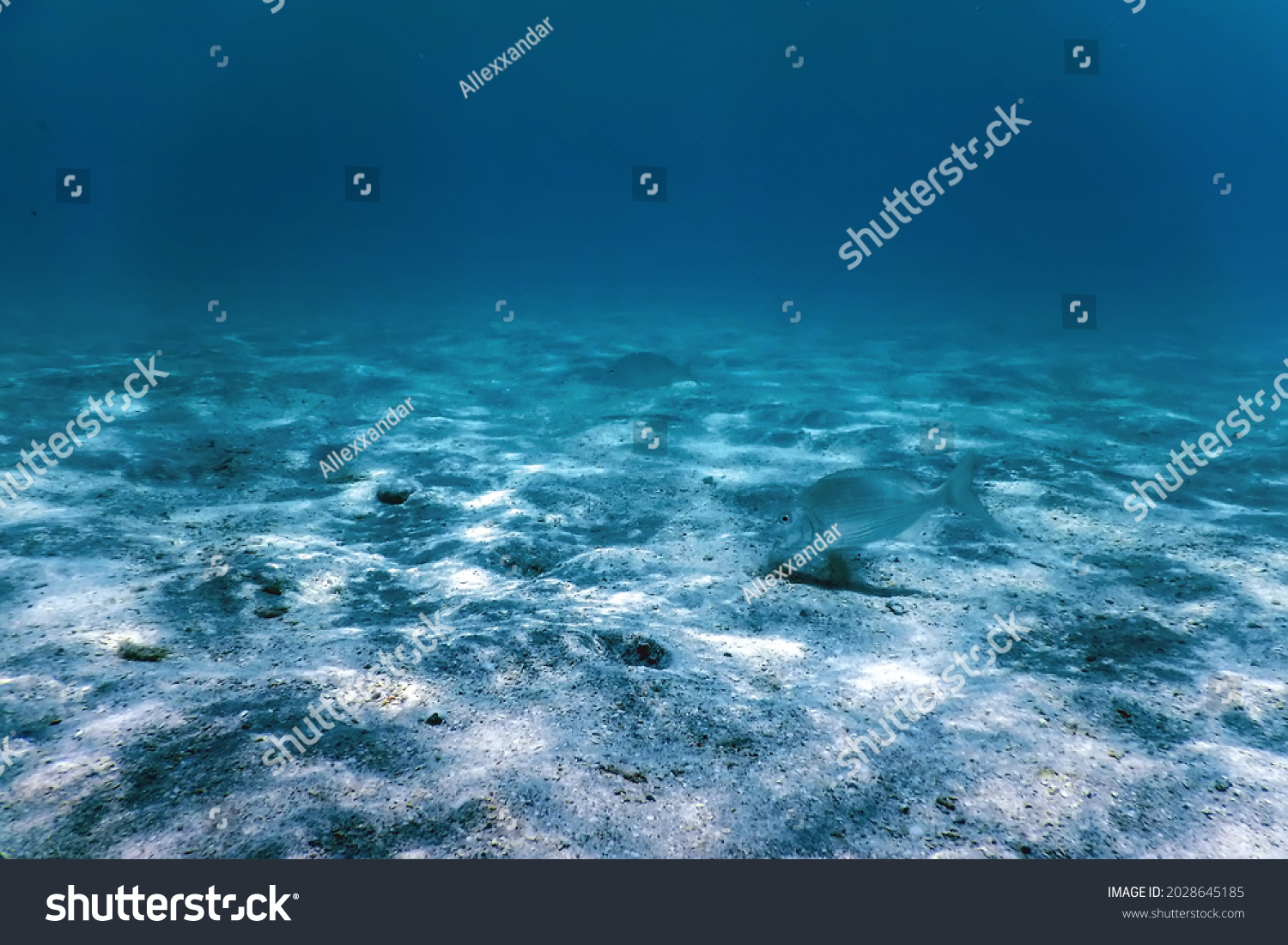 10,249 Seabed sand Images, Stock Photos & Vectors | Shutterstock