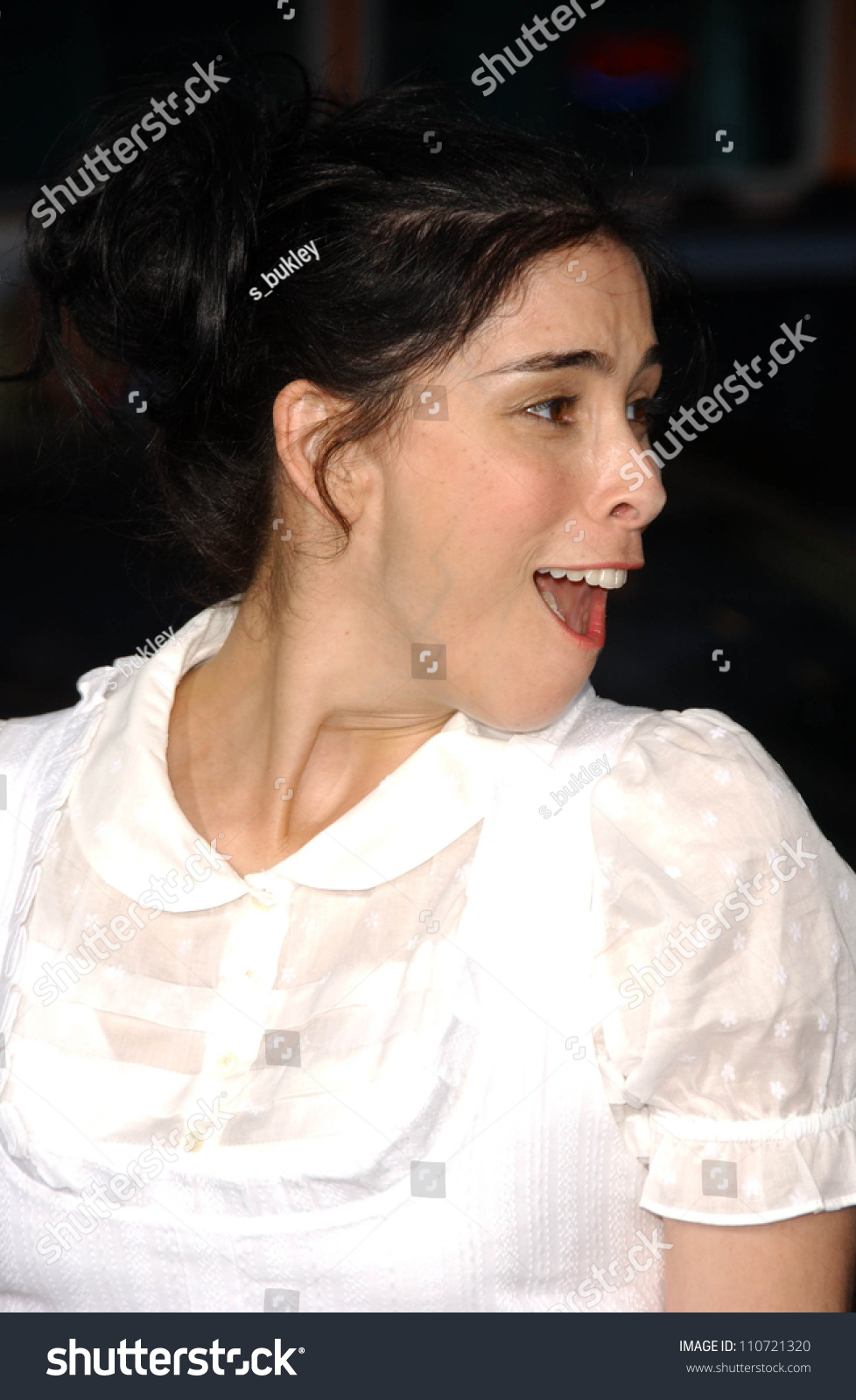 Pictures hot sarah silverman 41 Hottest