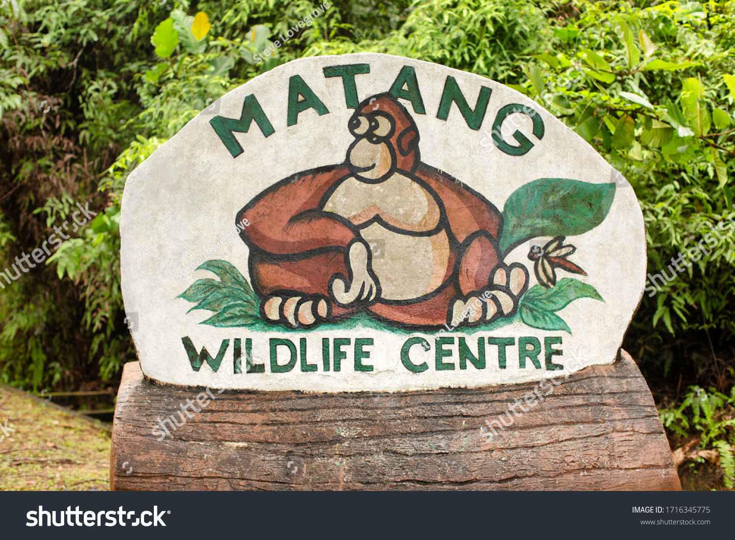 Wildlife centre matang Getting close