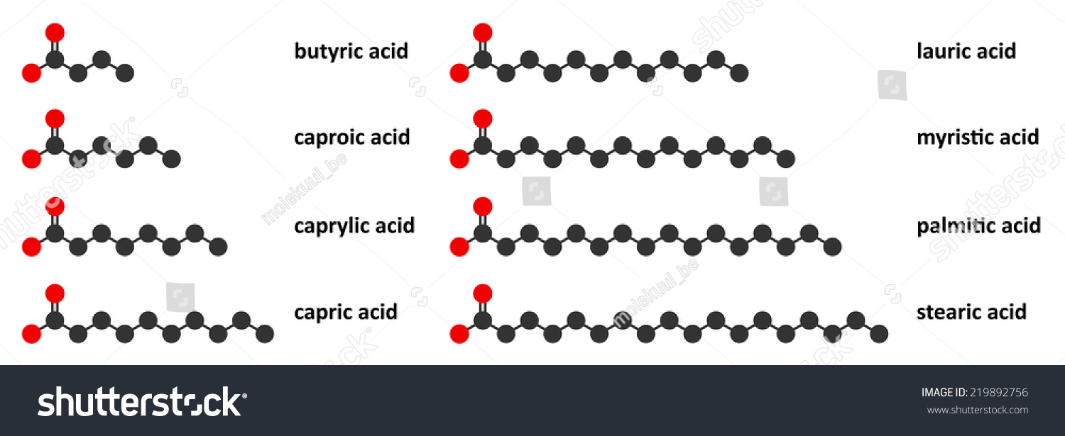 Draw Structure Of Caprylic Acid