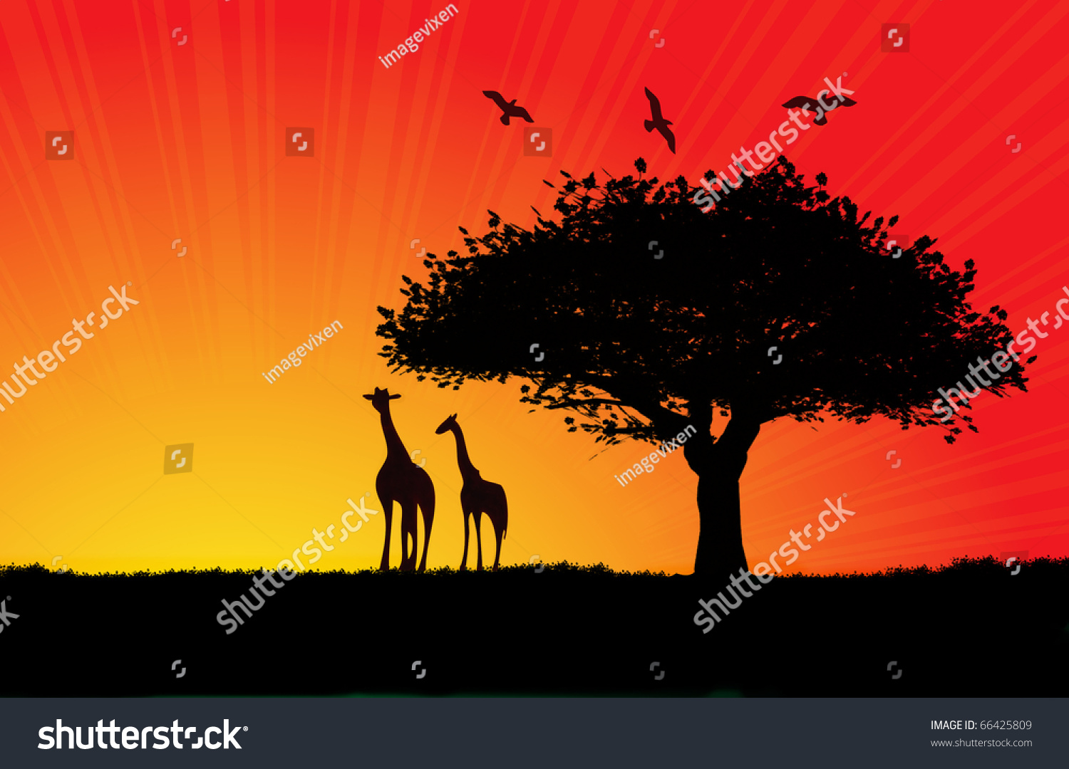 Savanna Landscape Illustration Stock Illustration 66425809 - Shutterstock