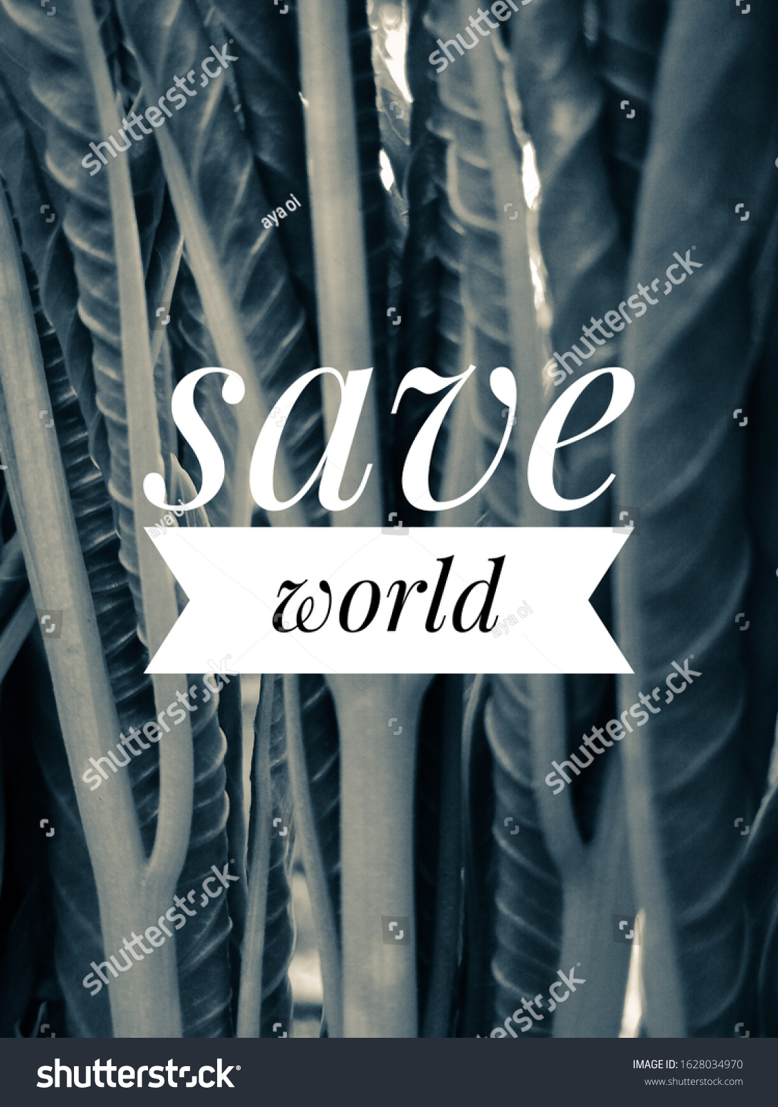 Saving World Quotes Leaves Photo Image Stock Photo Edit Now