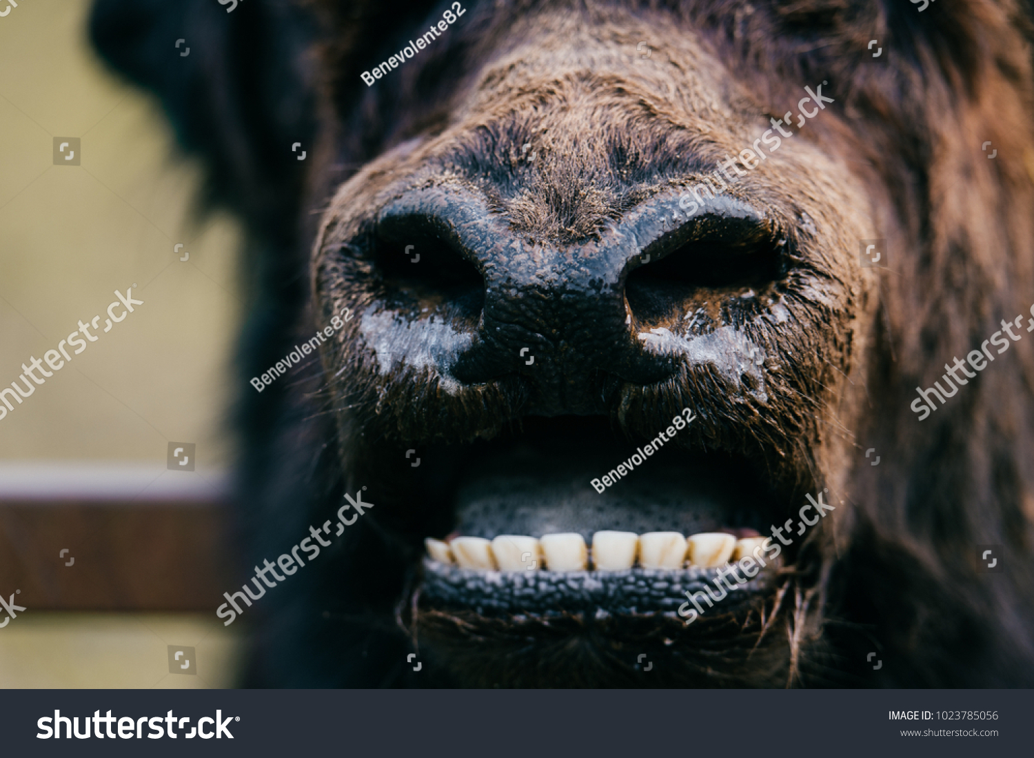 Scary beast Scary beast