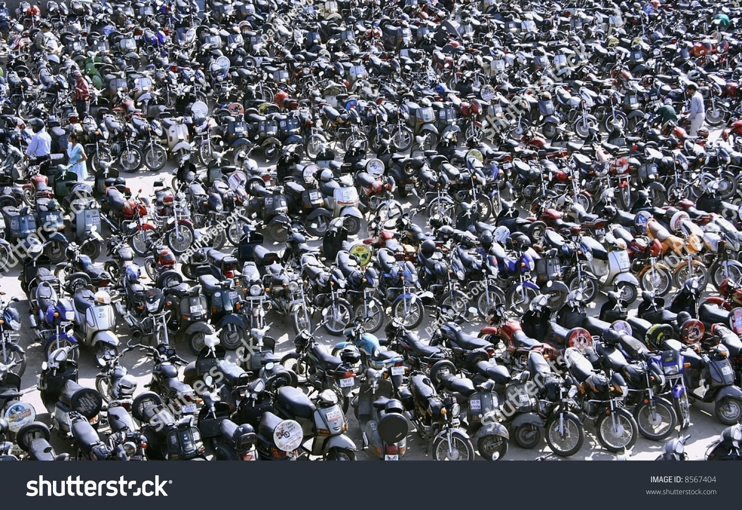 Mc forex chandni chowk
