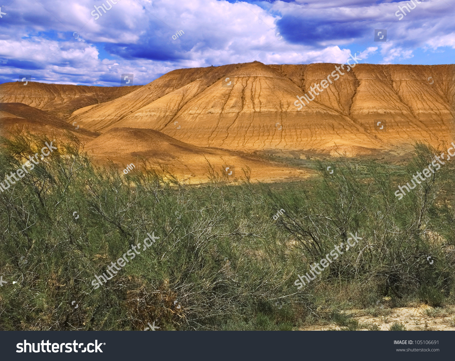 Scenery In The Mountains Of Ustyurt Desert Vegetation In The Foreground ...