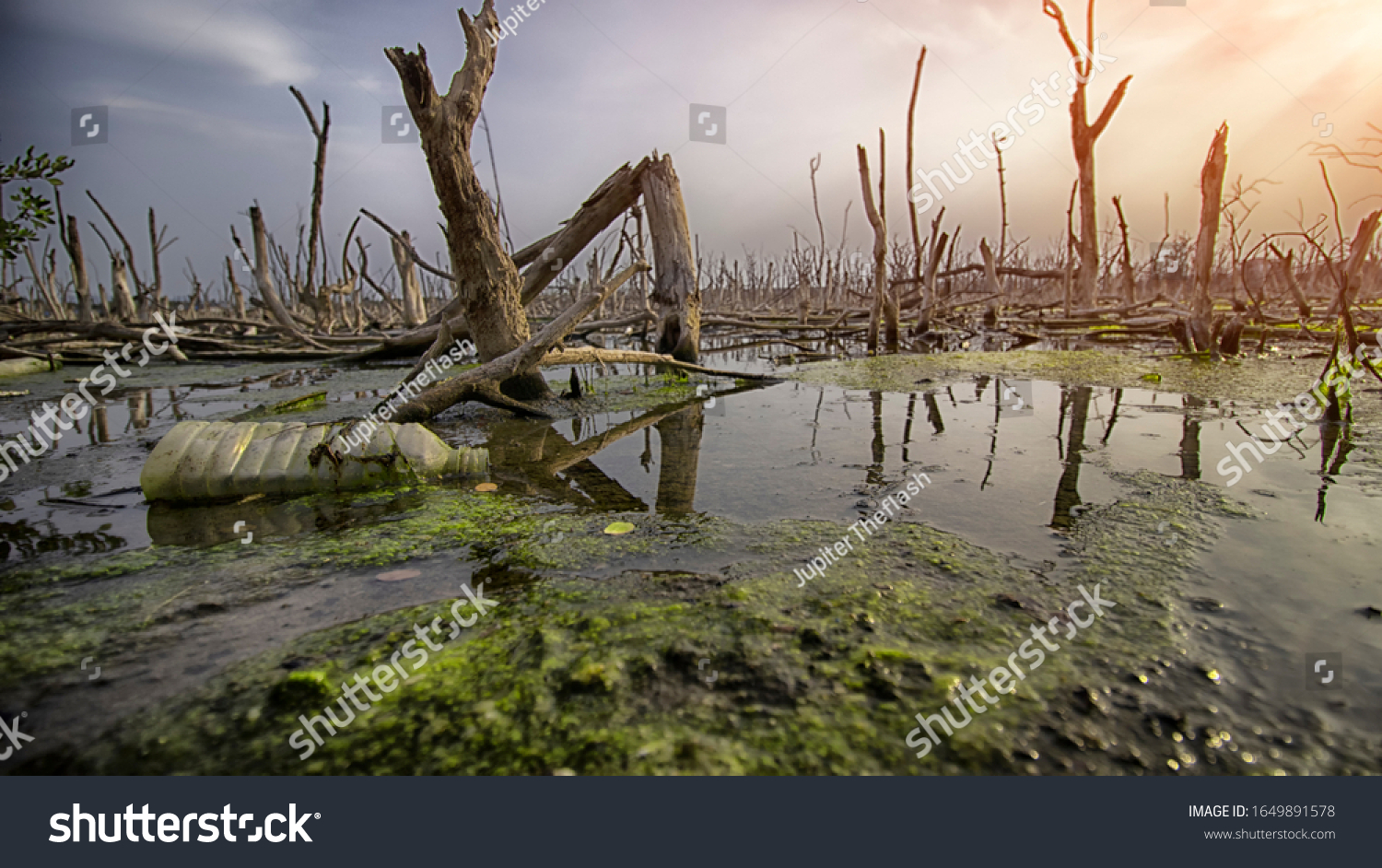 967 Ecosystem Degradation Images Stock Photos Vectors Shutterstock 967 Ecosystem Degradation Images Stock Photos Vectors Shutterstock