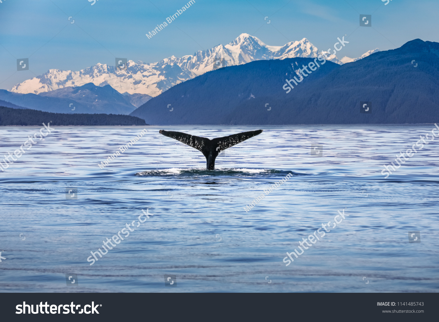前景にクジラのしっぽを持つ風景のアラスカの風景 の写真素材 今すぐ編集