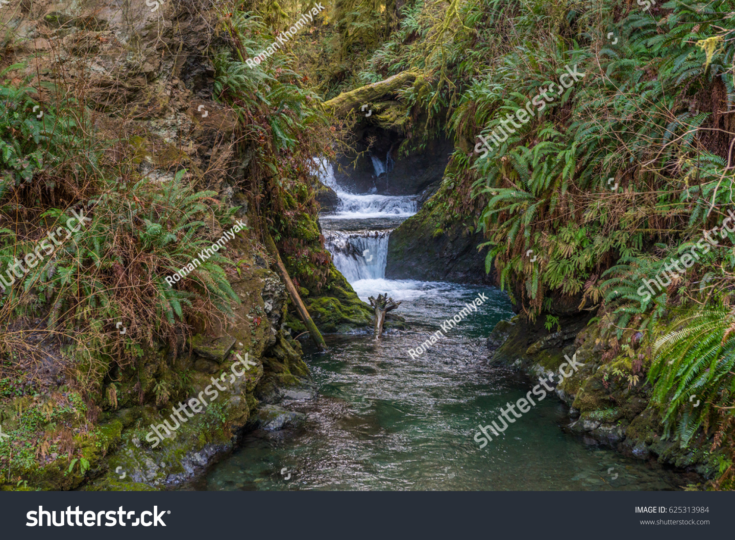 To acquire Creek beautiful pictures trends Buy Creek beautiful picture trends
