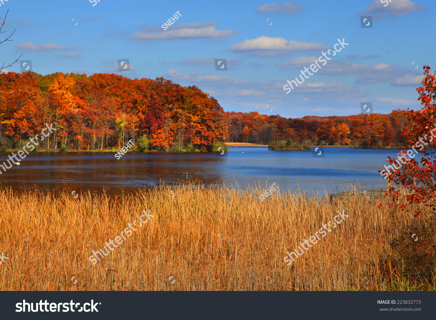 108 Kensington Metro Park Images Stock Photos Vectors Shutterstock   Stock Photo Scenic Kent Lake In Peak Autumn Time In Michigan 223832773 