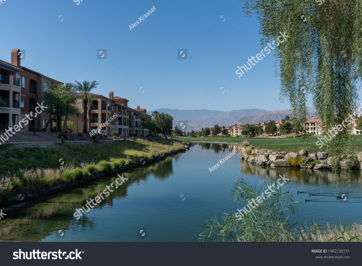 Desert Willow Palm Springs