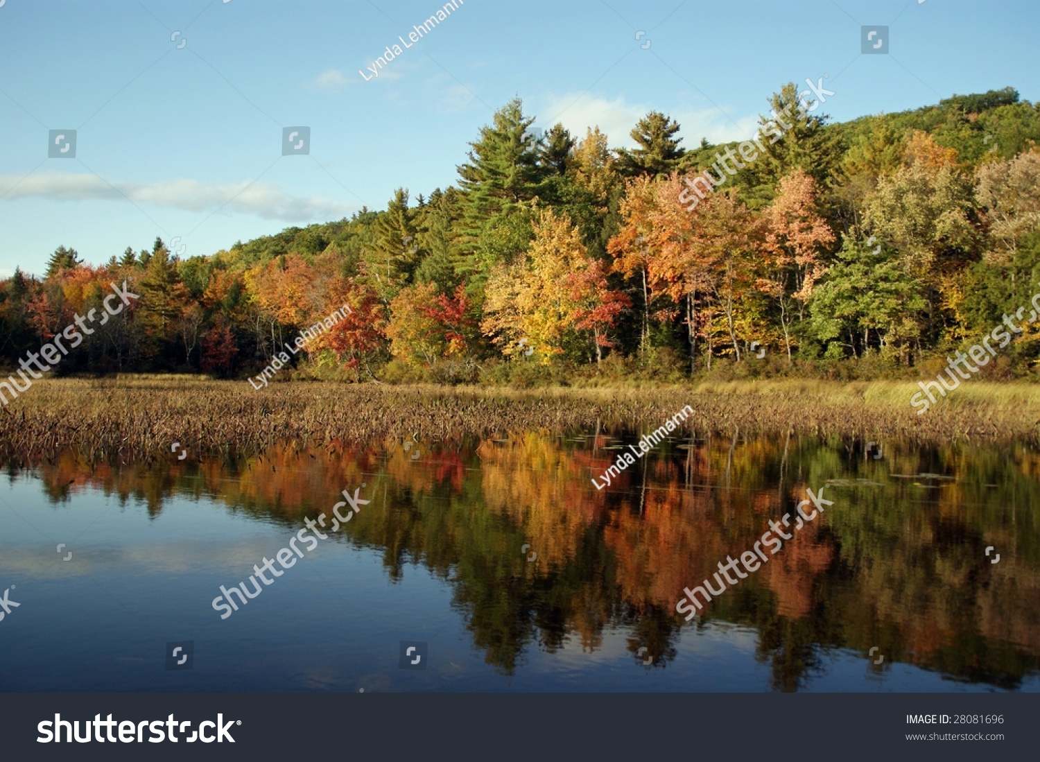 Scenic Panorama Of A Maine Lake In Autumn, With Brilliant Foliage And ...