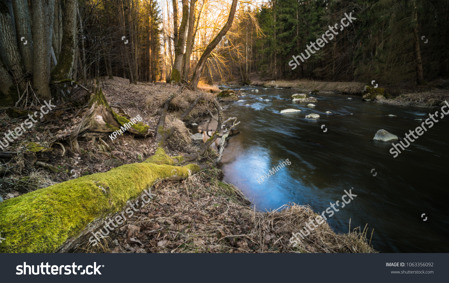 Nice to meet you in swiss german Nice om stream