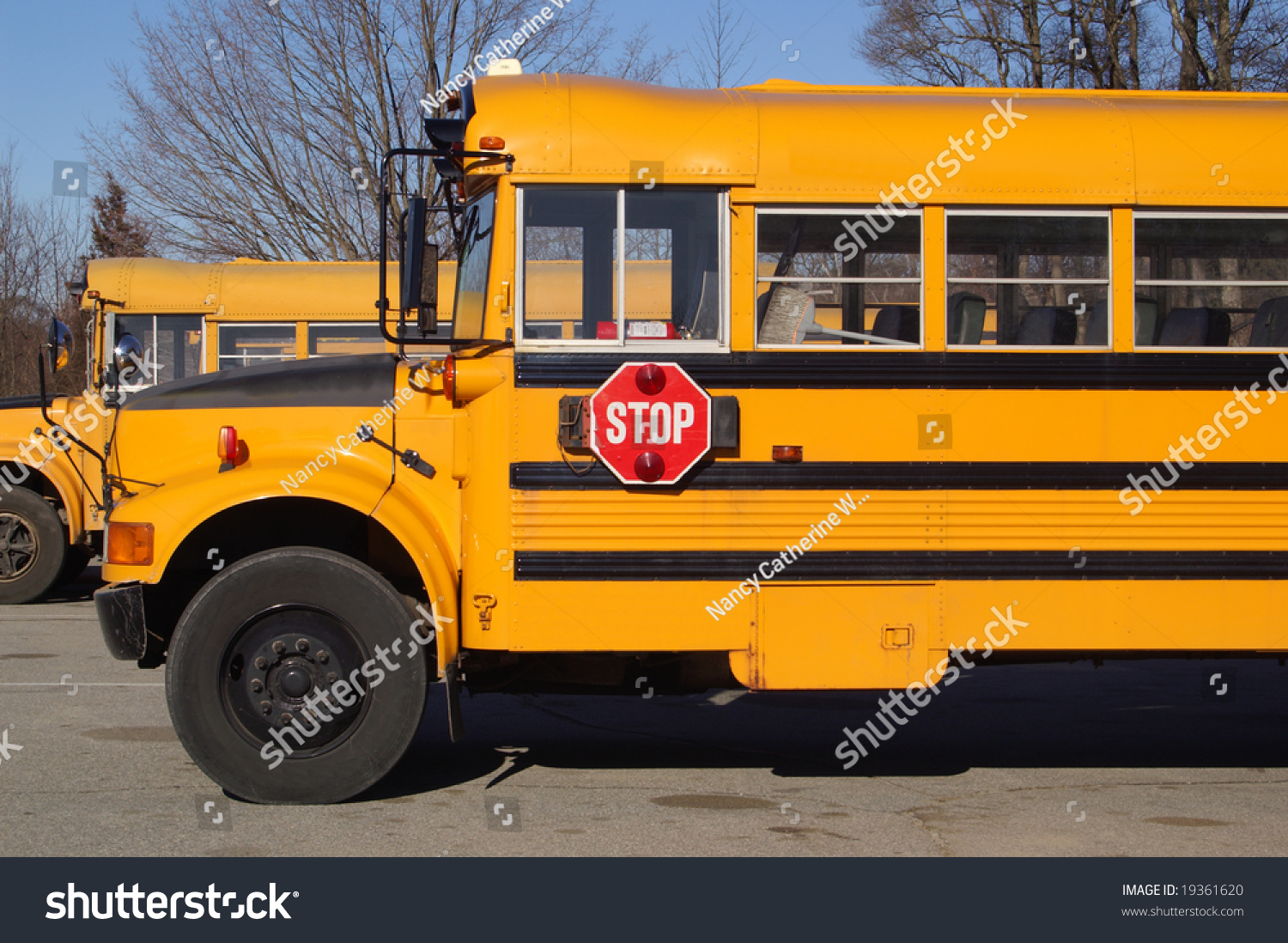 School Bus Stock Photo 19361620 : Shutterstock