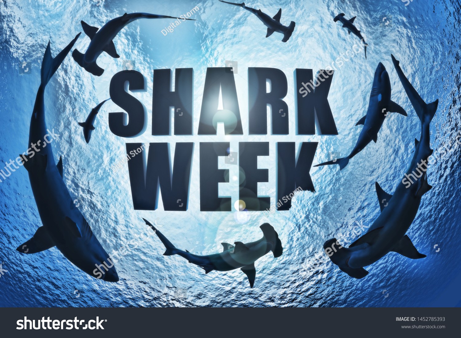 サメの群れ 大きな白とハマーヘッドが Sharkの週にkからサメのかみを取り出して テキストを回っている 3dレンダリング のイラスト素材