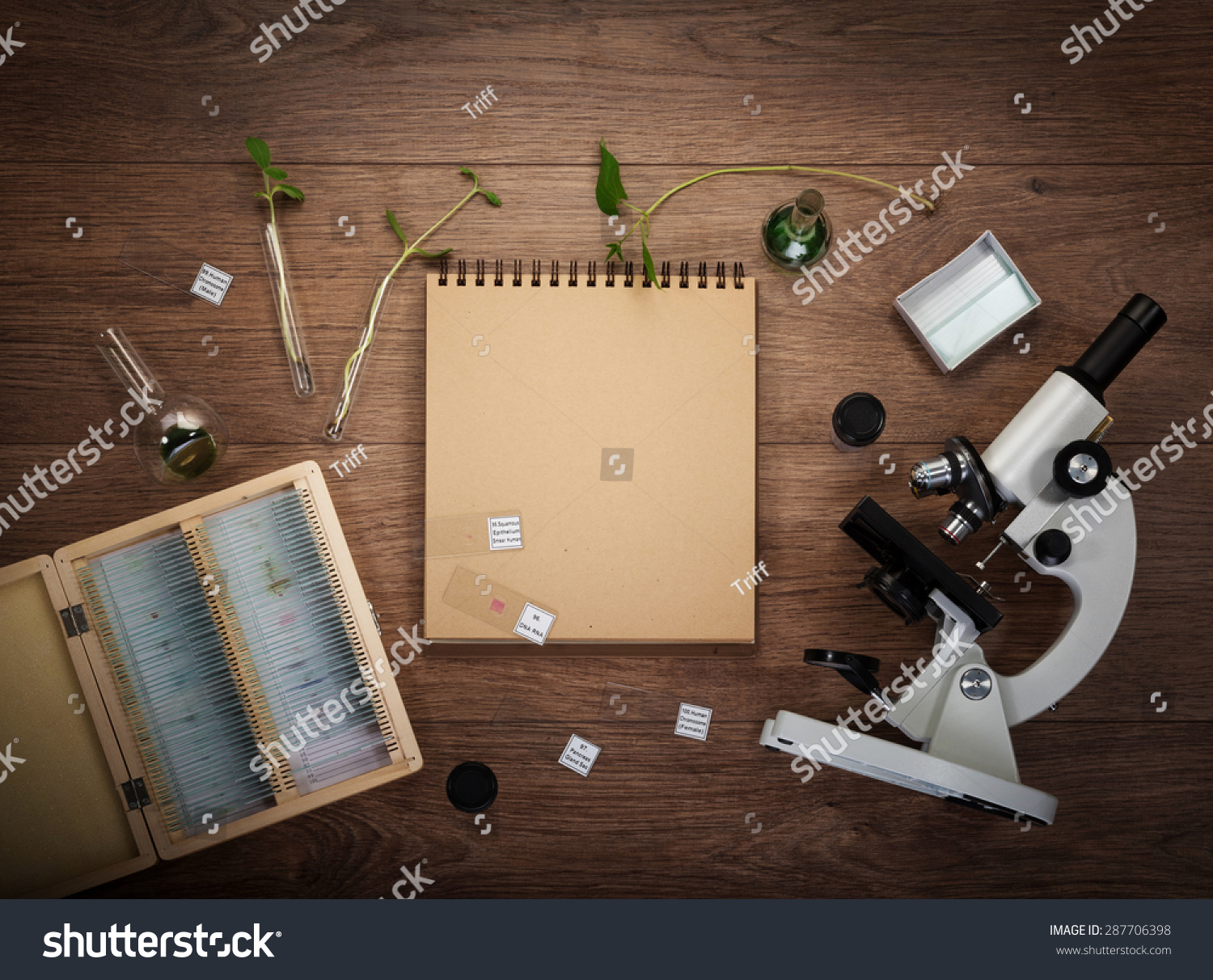 Scientific Accessories On Table Education Science Stock Photo