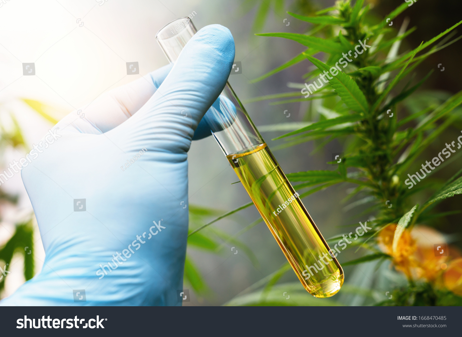 9,511 Hemp Testing Images, Stock Photos & Vectors | Shutterstock