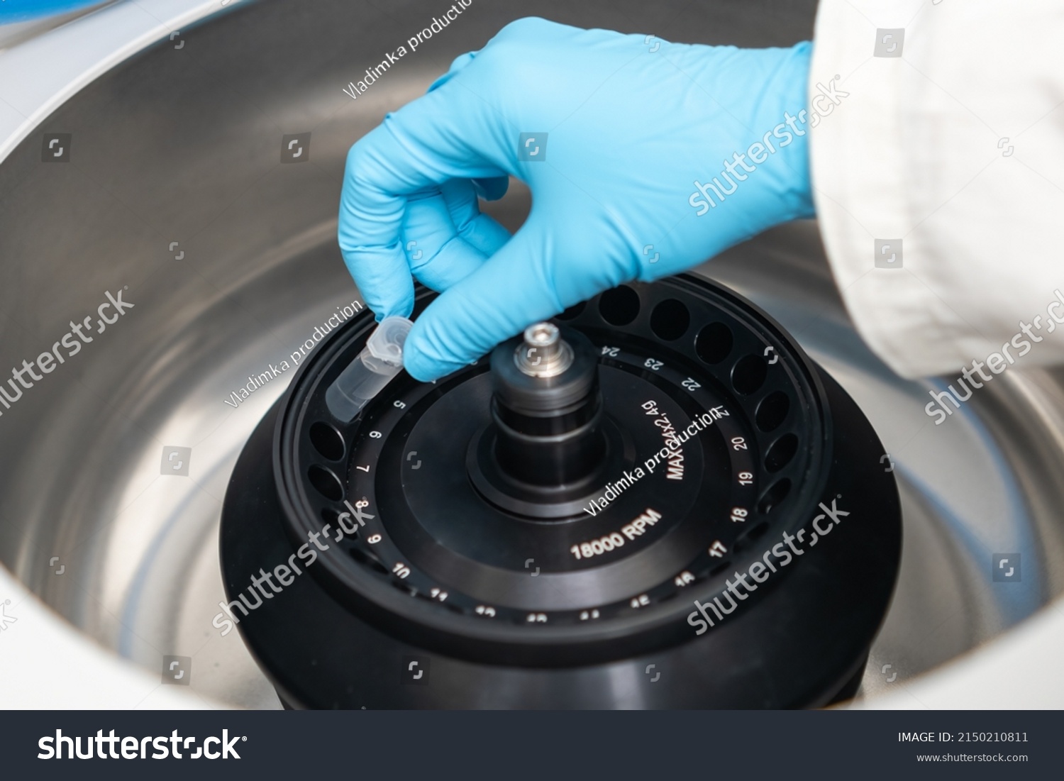 Scientist Puts Microcentrifuge Tubes Into Centrifuge Stock Photo ...