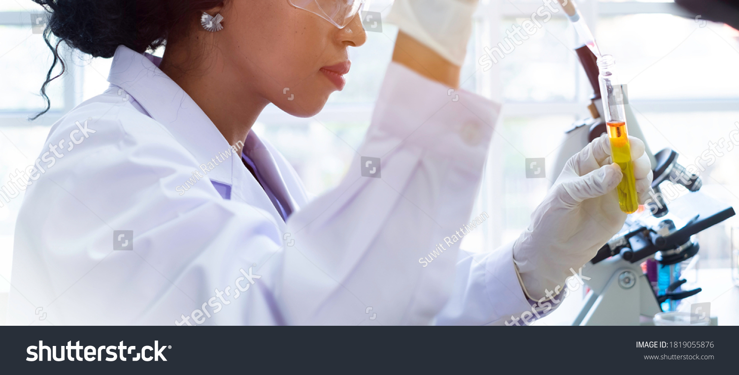Slide Image 3