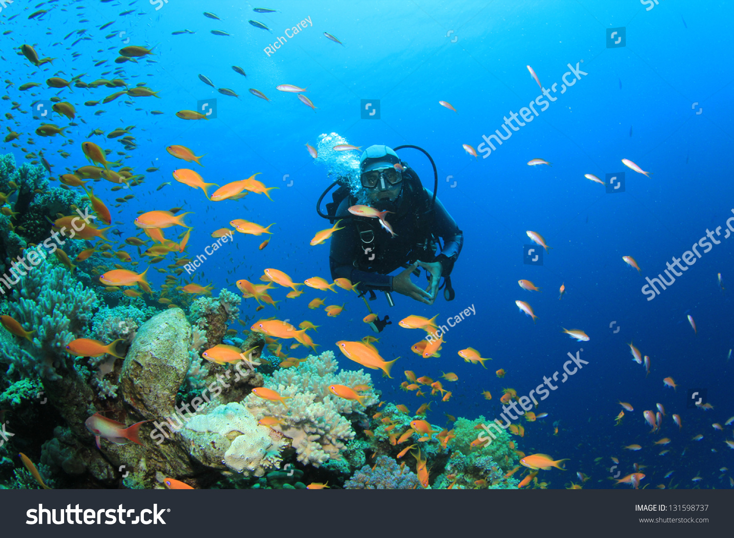 Scuba Diver Explores Coral Reef With Tropical Fish Stock Photo ...