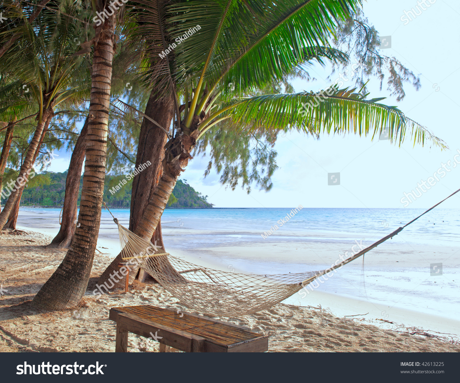 Sea, Beach, Jungle And Hammock - Vacation Background Stock Photo ...