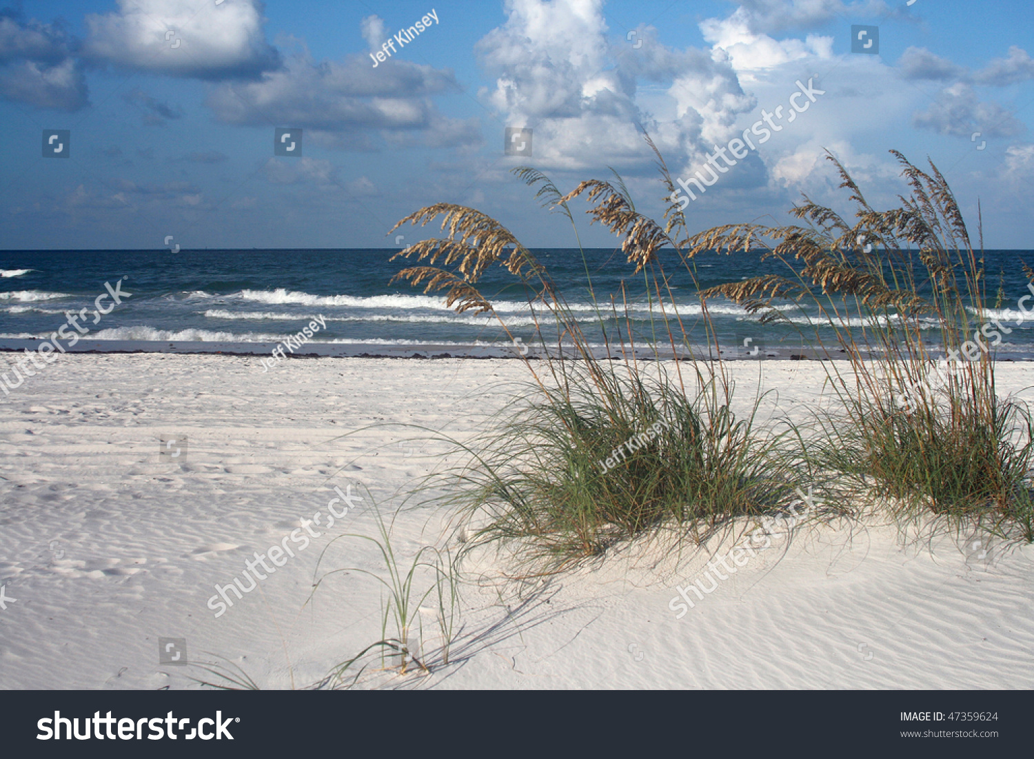 Sea Oats Surf Madeira Beach Florida Stock Photo 47359624 - Shutterstock