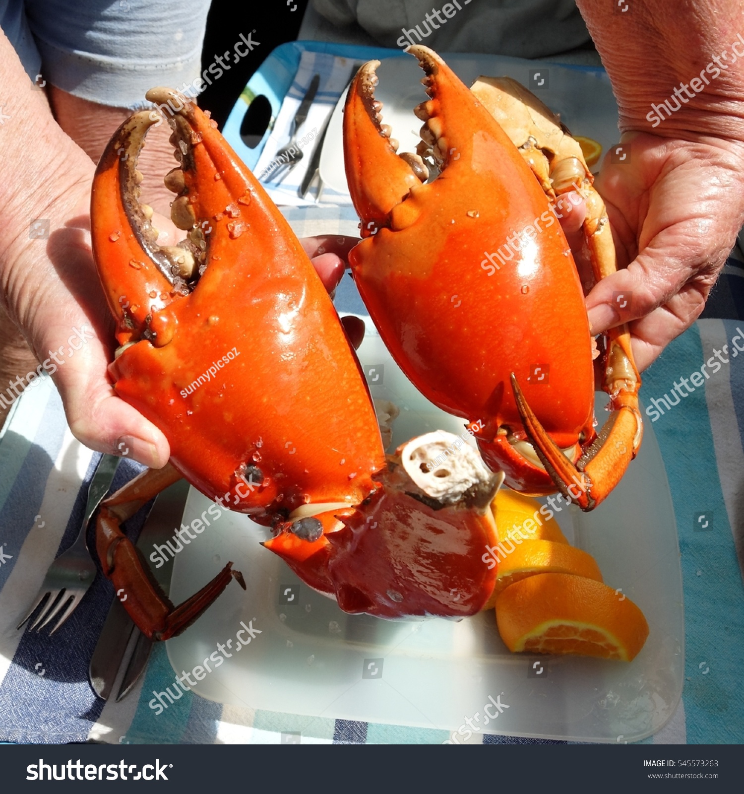 Seafood Lunch Large Stock Photo (Edit Now) 545573263
